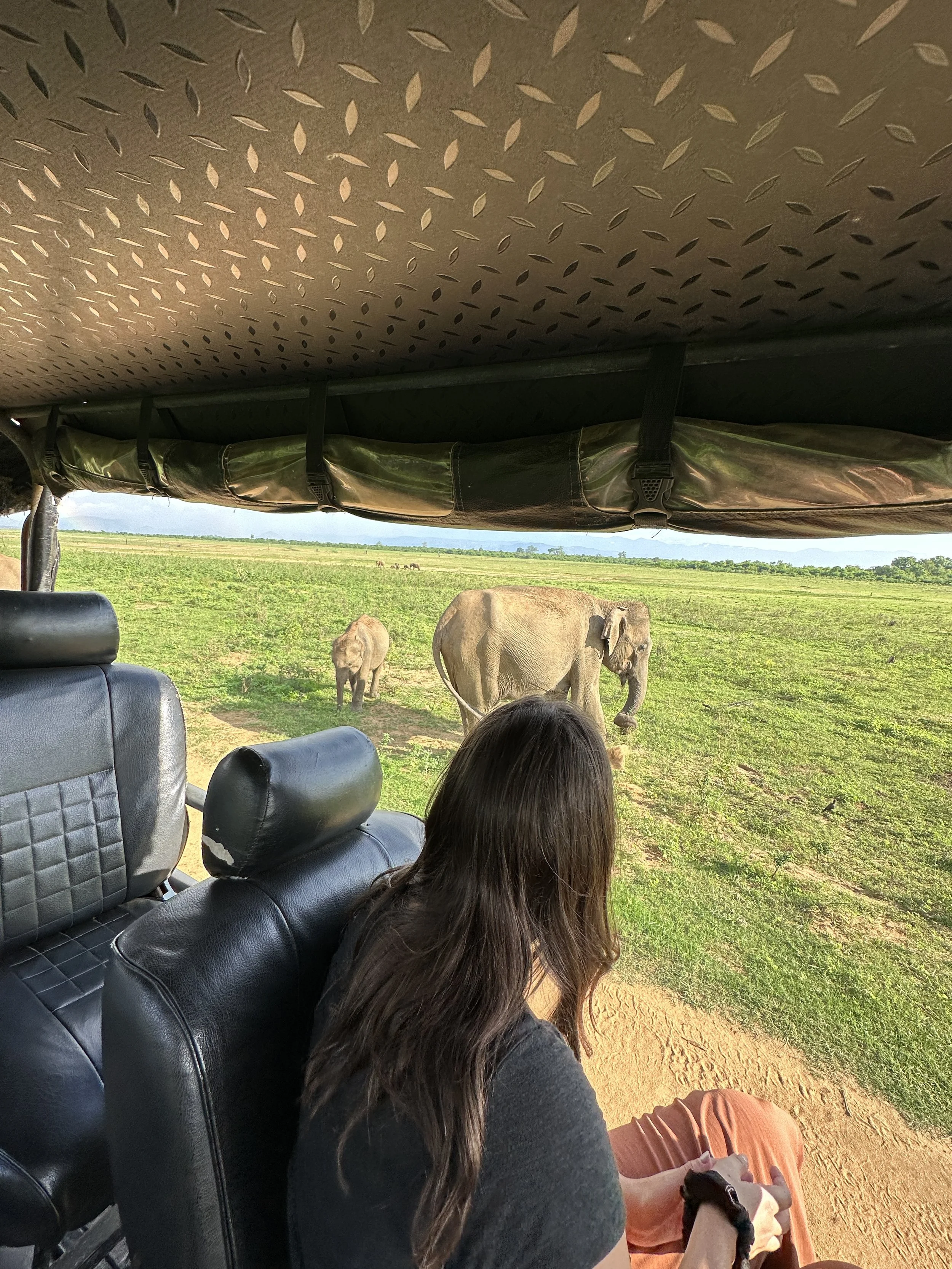 Elephant Safari in Sri Lanka
