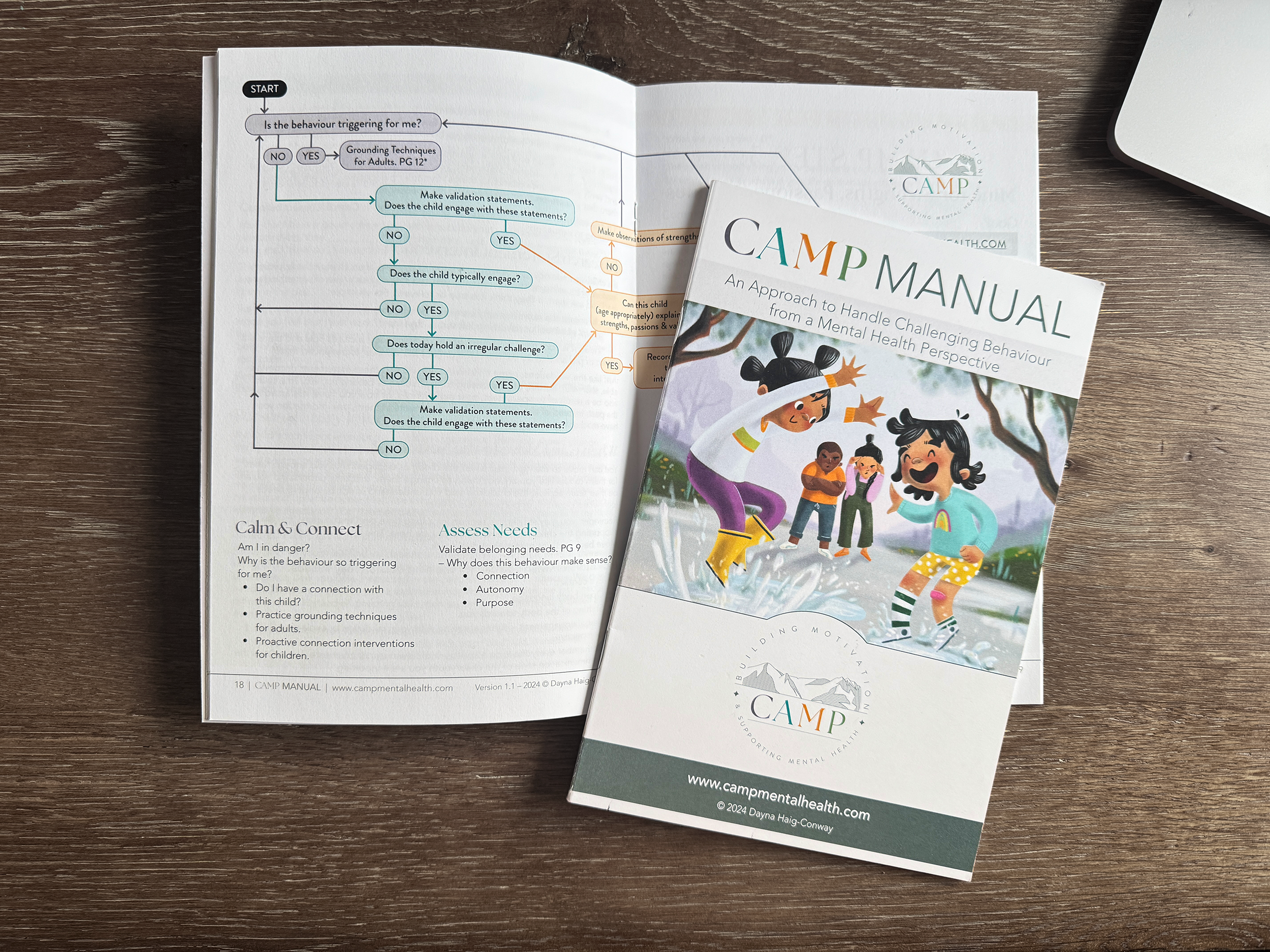 CAMP_ManualCover&FlowChart_IMG_2138.png