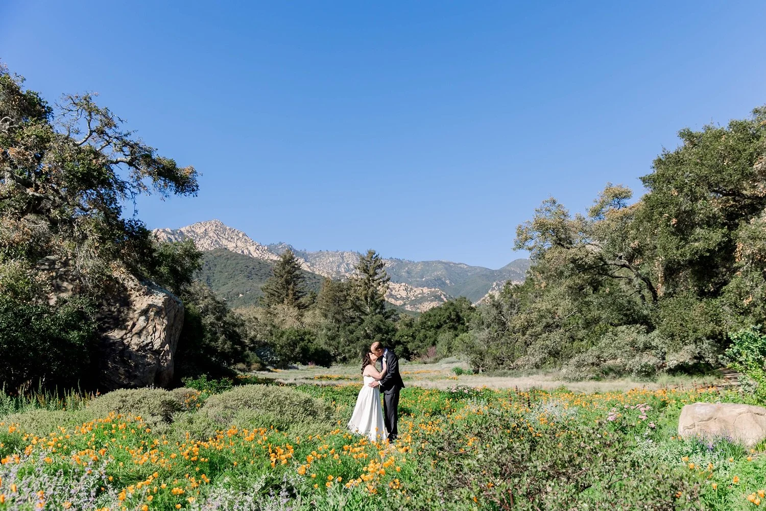 Elopement couple kissing in Santa Barbara Botanic Gardens with poppies in bloom