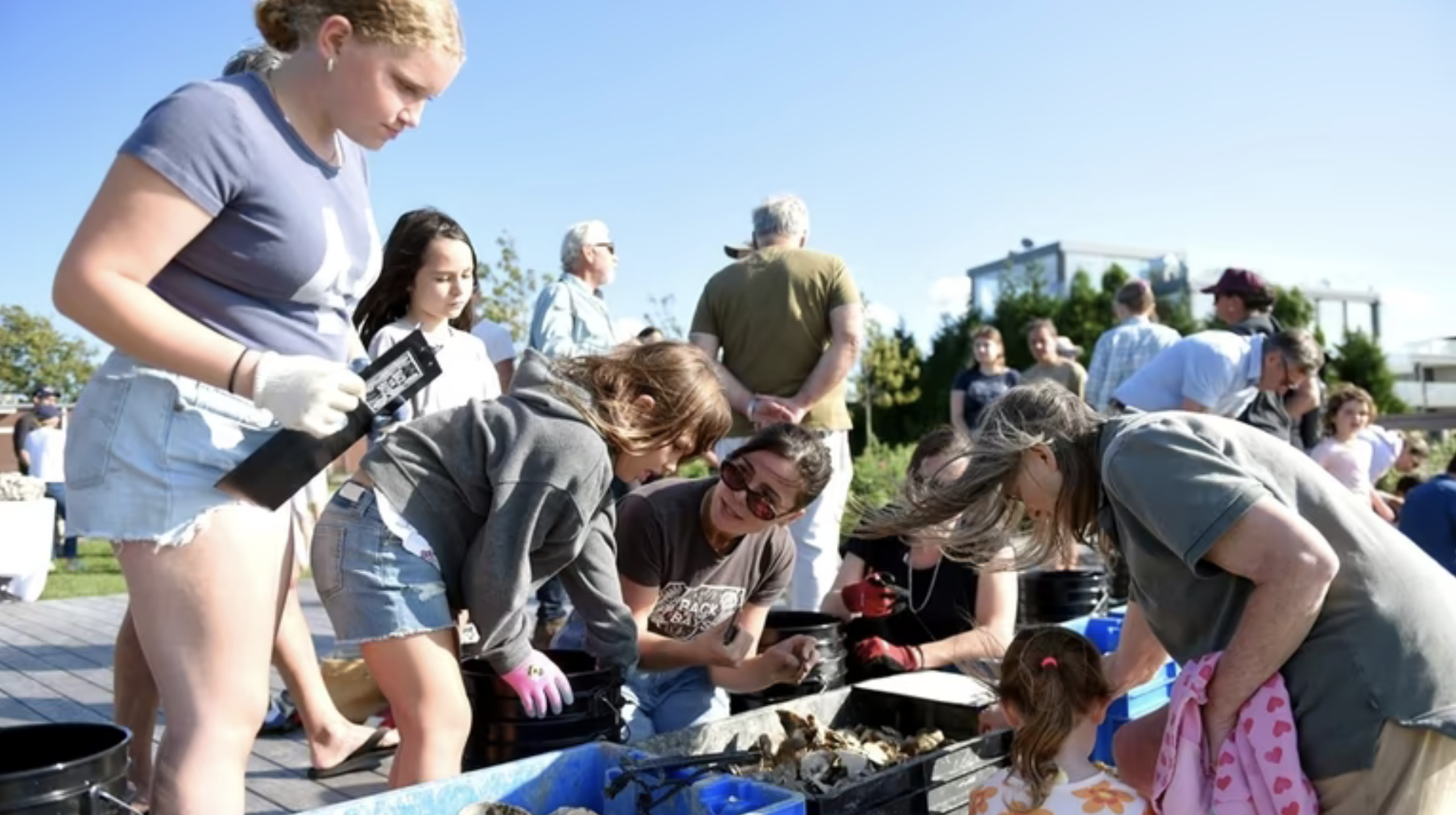 Instructed participants on how to deploy oysters for Cornell Marine Program's oyster sanctuary; Sag Harbor, NY