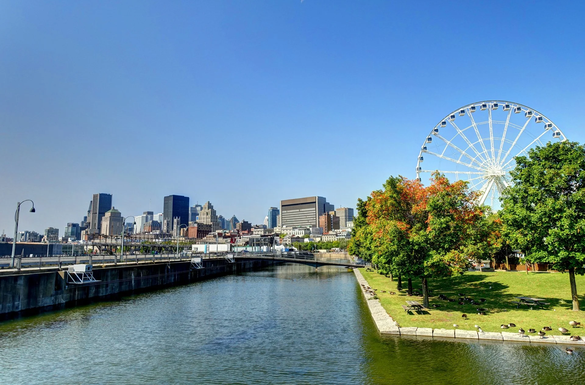 montreal-quebec-canada.jpg