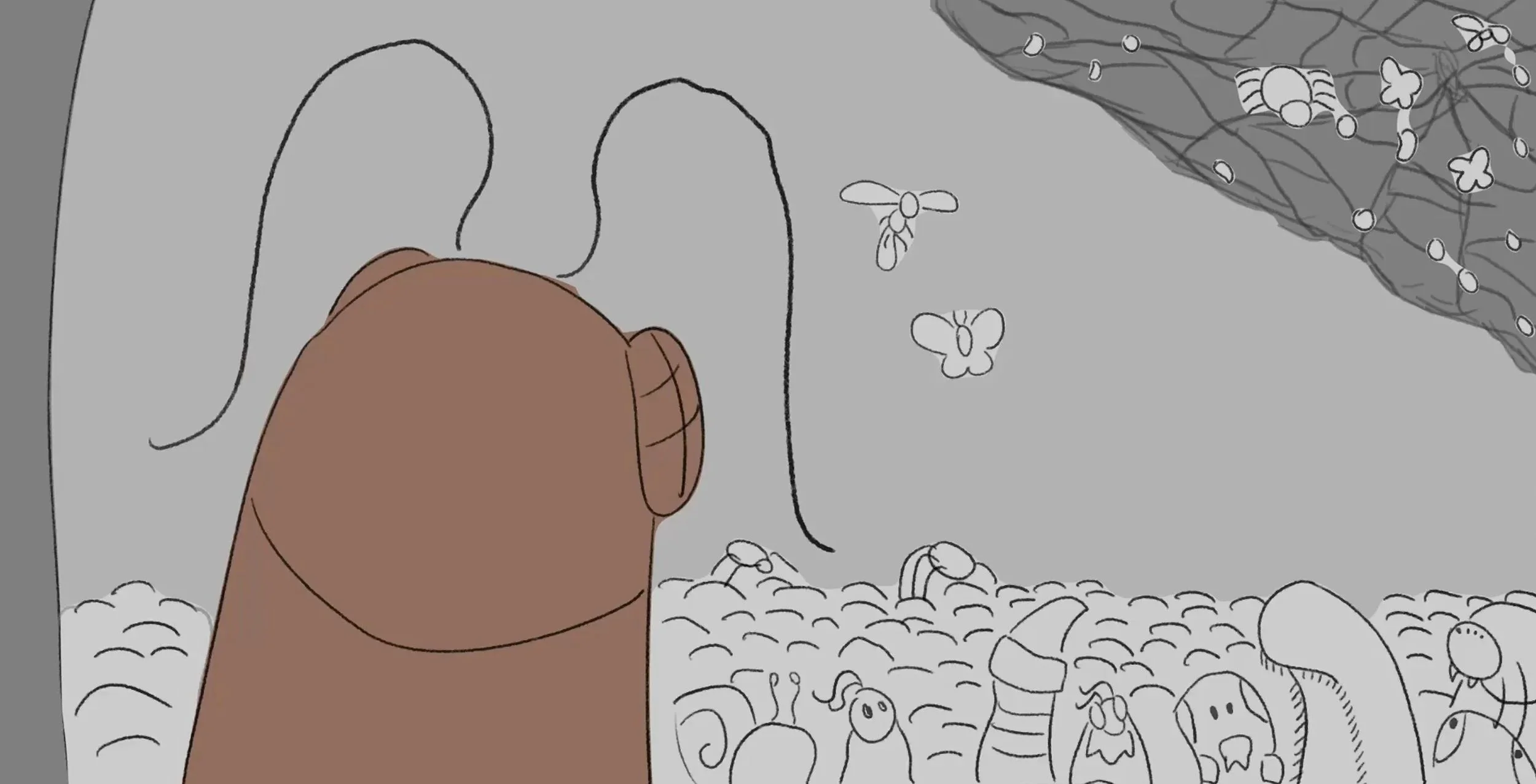 Storyboards