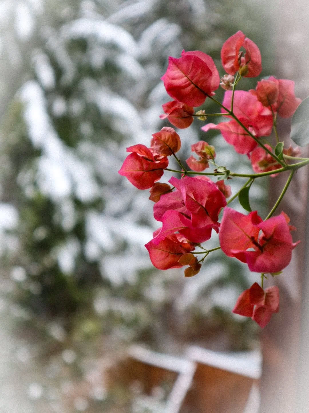 Lately, I've been finding myself getting sucked into the noise, a lot more than usual. I've even been considering signing out, just to escape what feels like a battle ground in the form of personal opinions coming from all directions. 

One thing tha