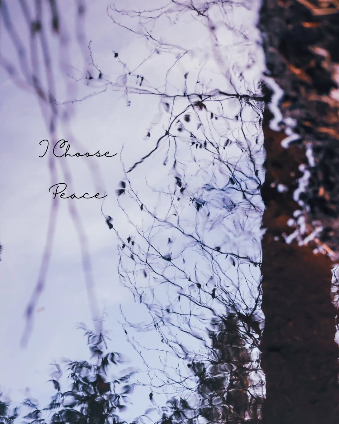 It's easy to feel triggered, helpless and angry when exposed things outside our control. 
And it's also a choice what we choose to expose our energy to. 

Today, I chose peace over the outside noise.
I recognized the negative impact it was creating i