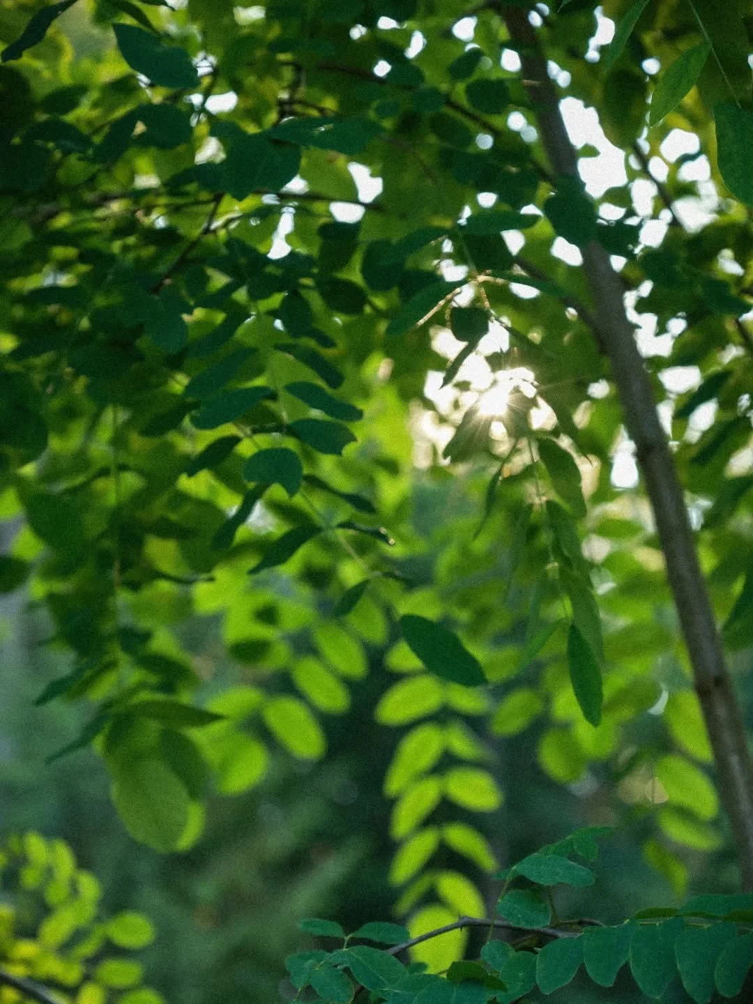 We each get to decide our beliefs and choices in life. Just because it speaks truth to one person, doesn&rsquo;t always mean it speaks true for us. Each of us has a totally different life path and purpose- mixed with different shades of life experien