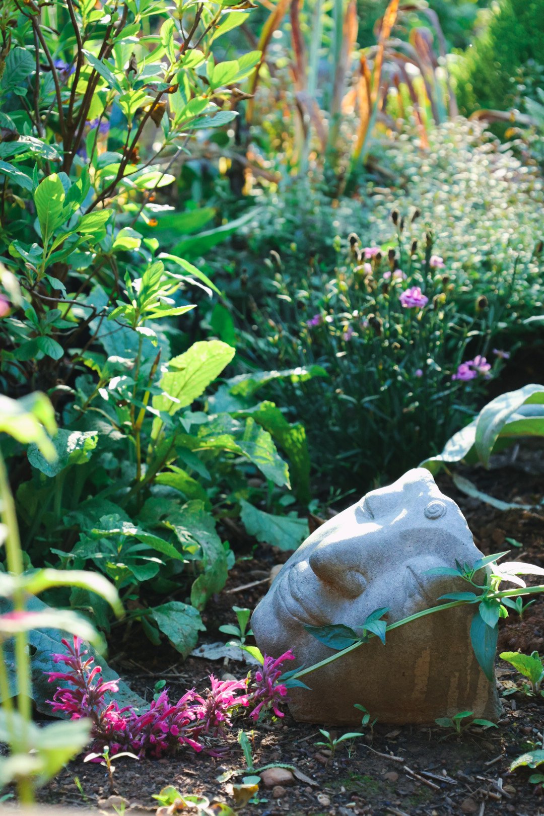 Stone head sculpture in a garden surrounded by green plants and pink flowers.