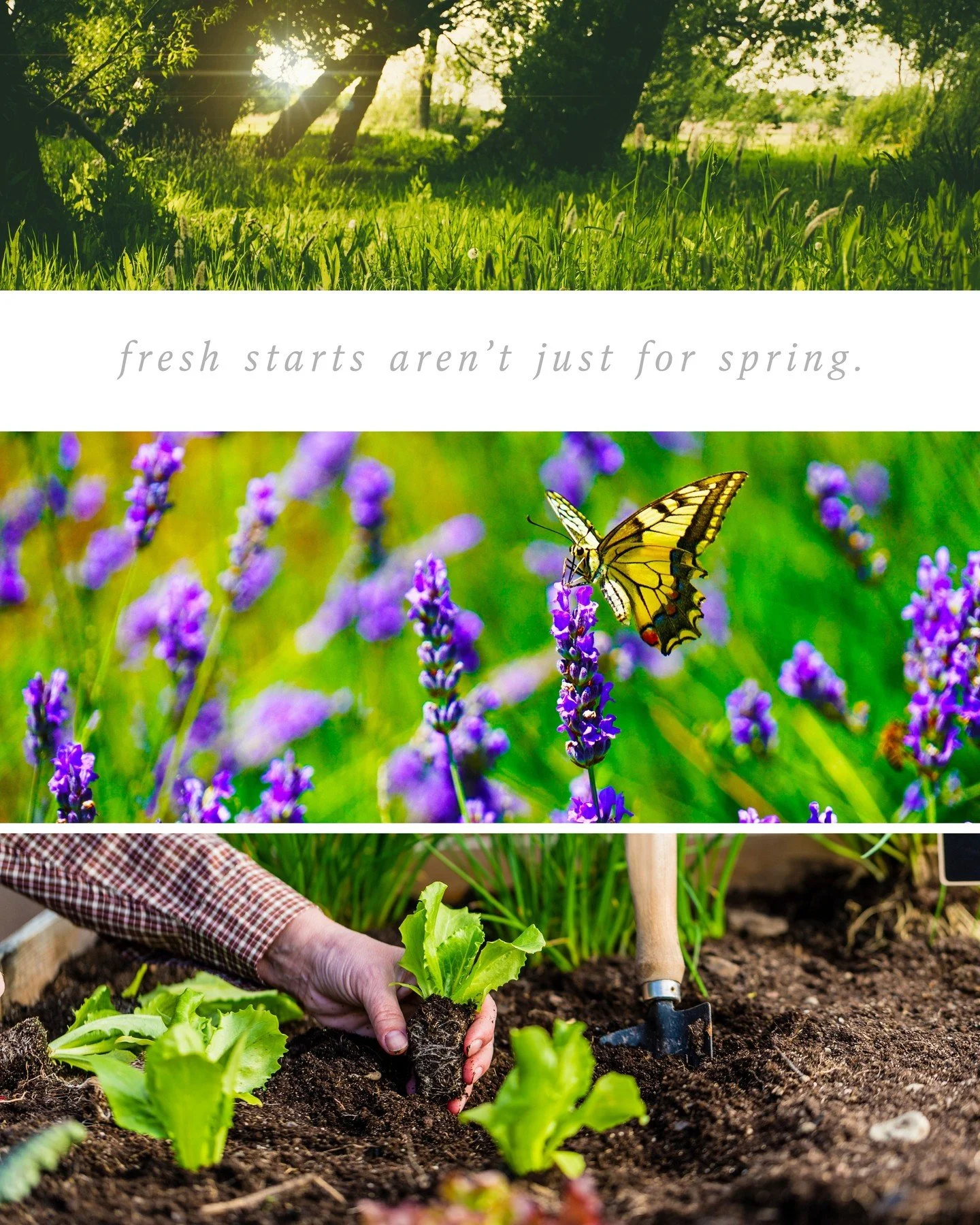 Spring shows us that even when something ends, something beautiful is often waiting just around the corner.

In times of transition&mdash;whether in life or within a family&mdash;there is often space for clarity, growth, and a new way forward.

If yo
