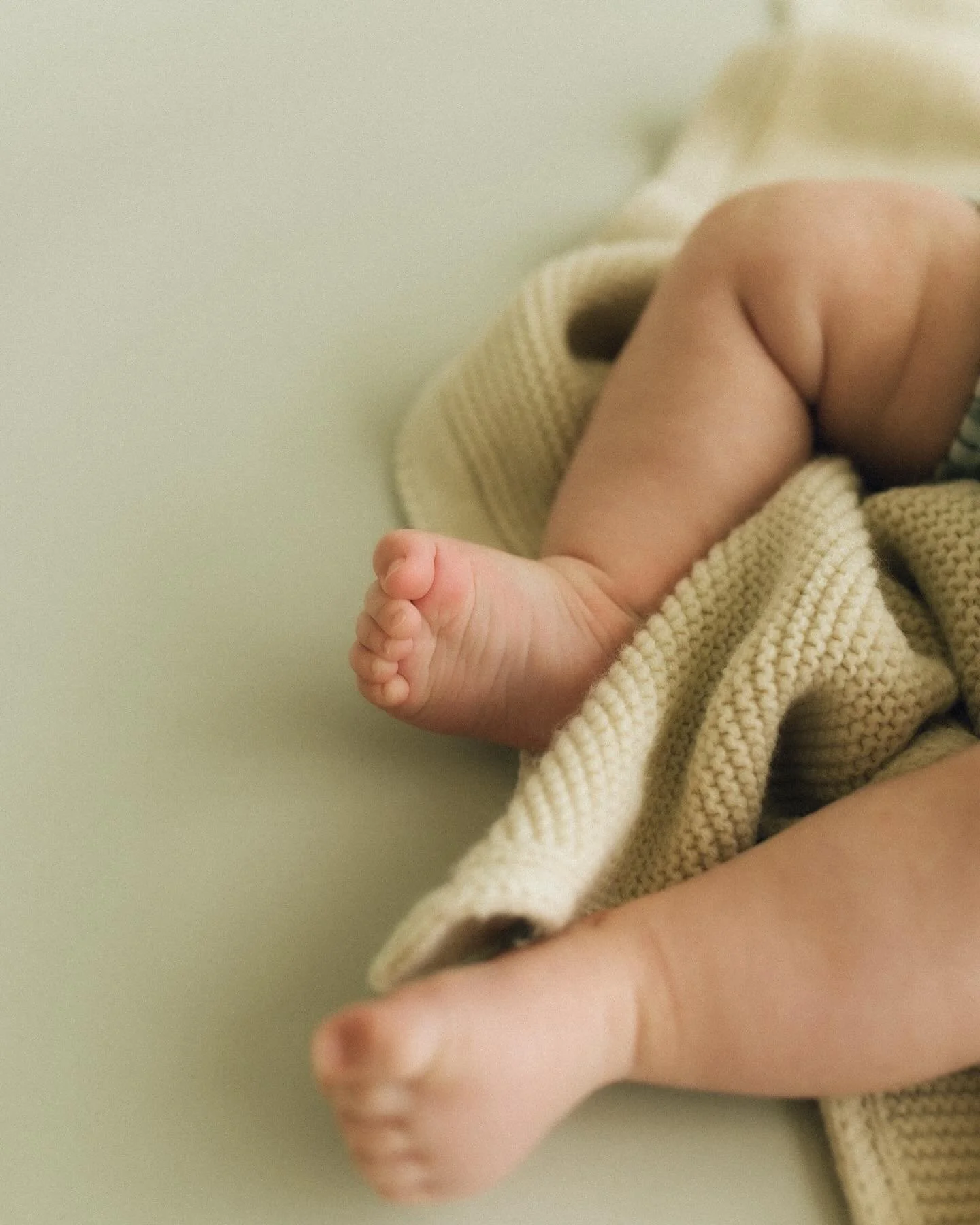 Hudson&rsquo;s 6 month session. 🥹

Now booking December, January, &amp; February milestones sessions. I&rsquo;d love to hear from you. 🫶🏻

divinephotographystudios.com
