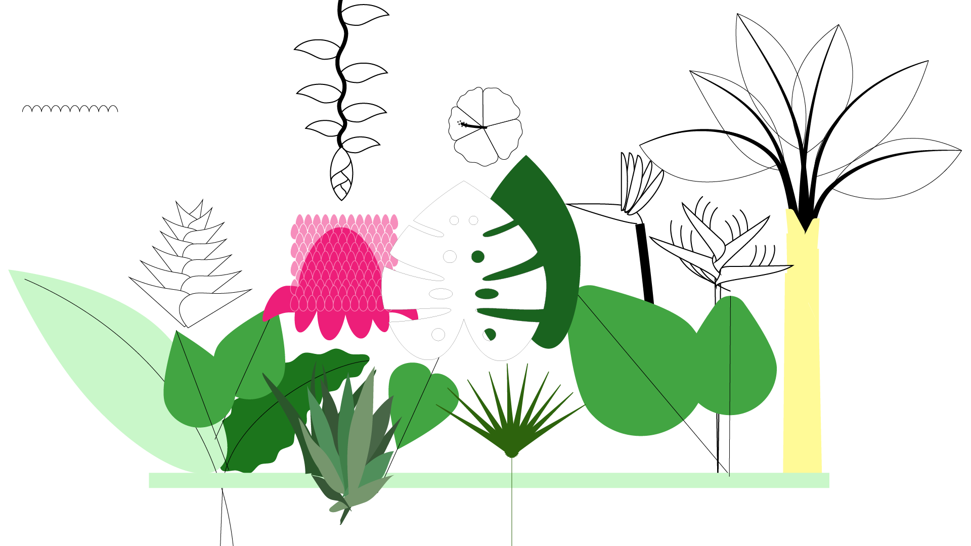 Plants.png