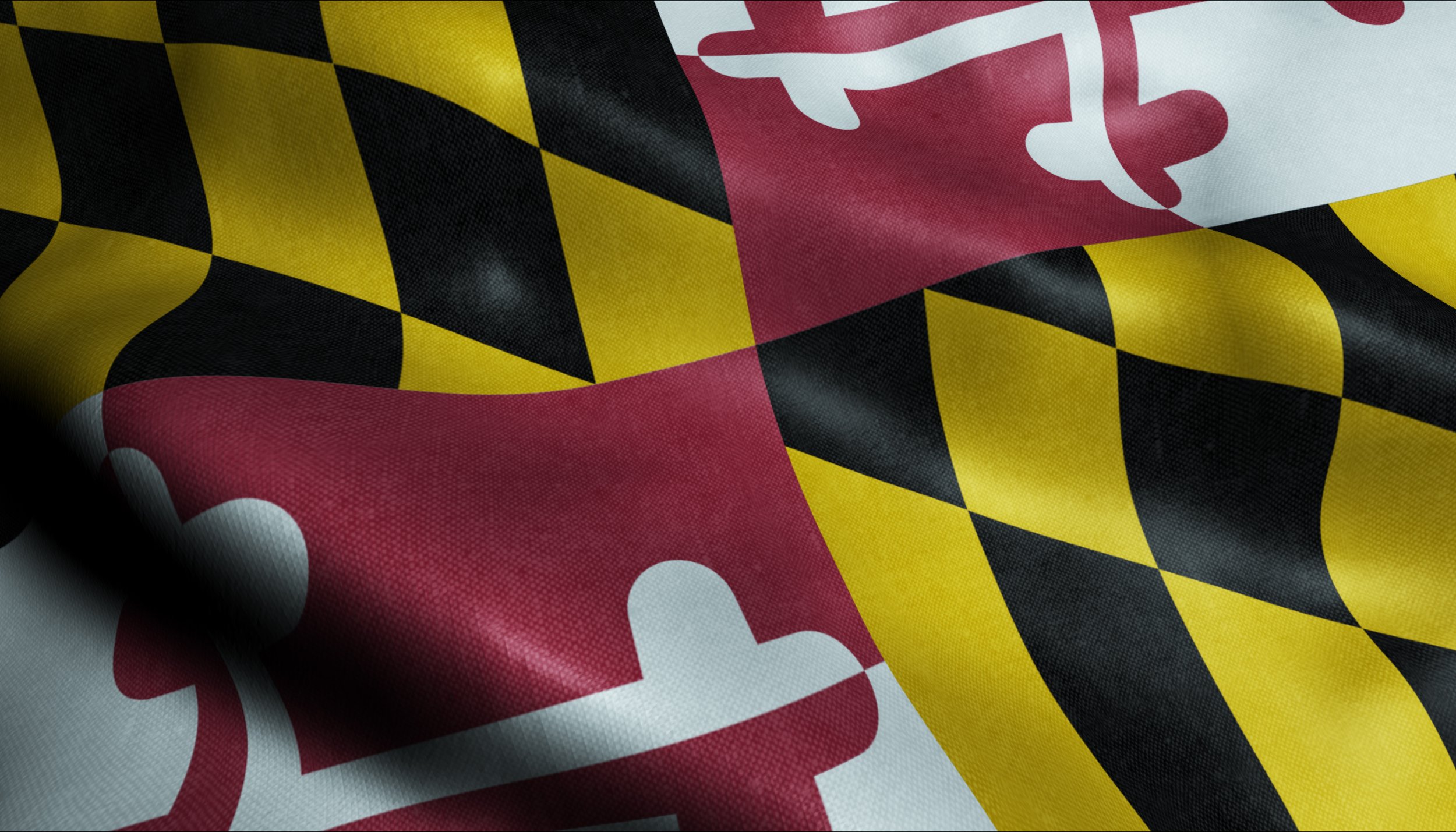 February MdACDIS Meeting