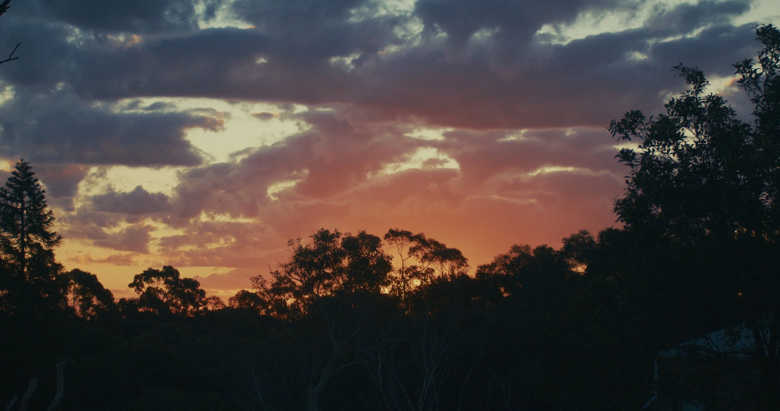 Taree, NSW (additional content)