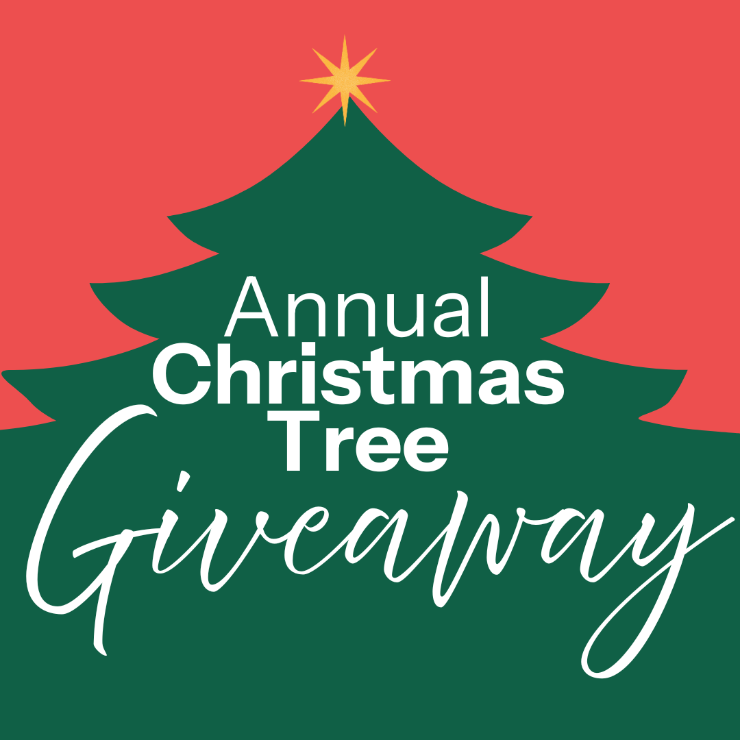 Christmas Tree Giveaway 