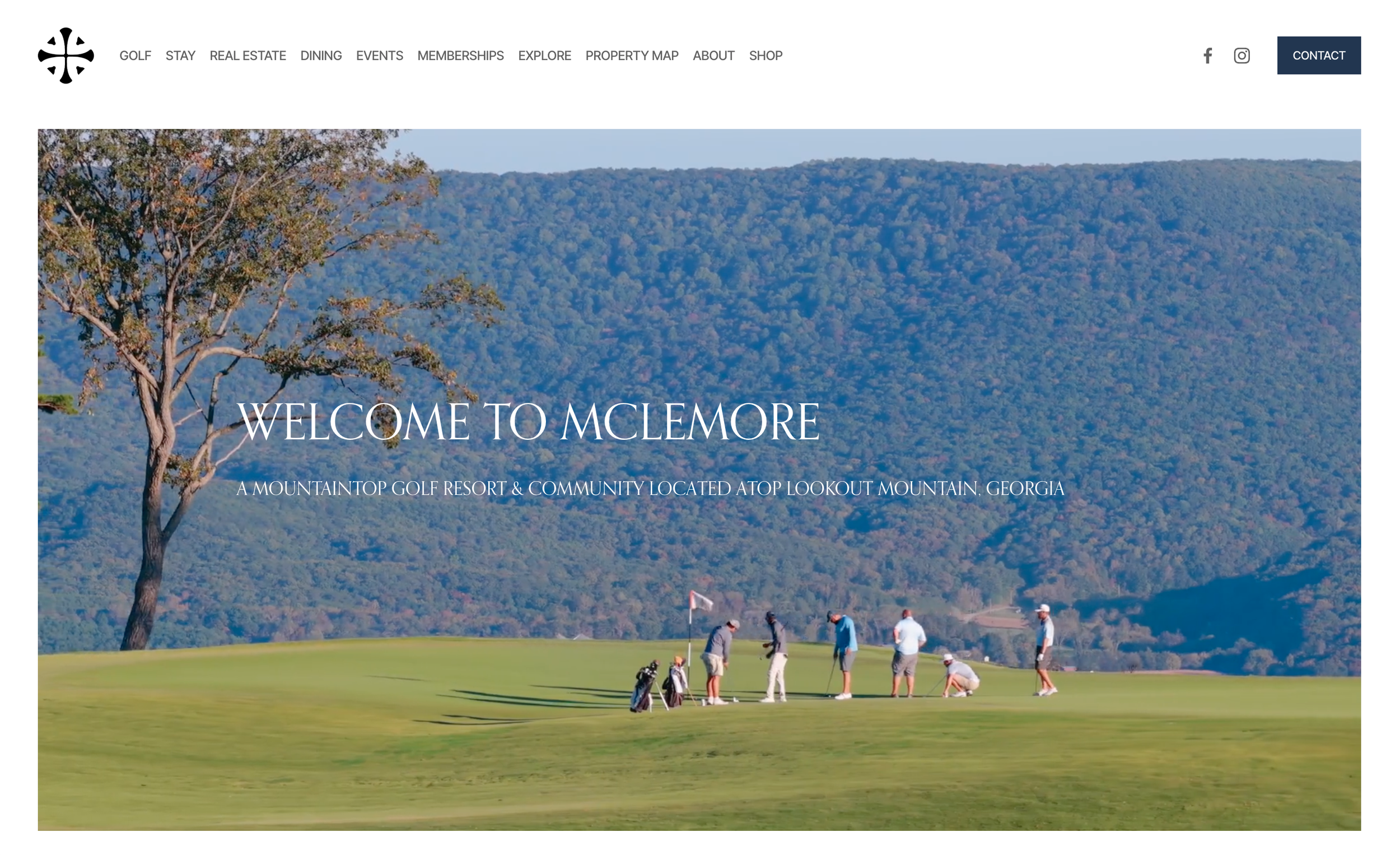FULL BUILD OF THE COMPREHENSIVE 584-PAGE MCLEMORE WEBSITE 