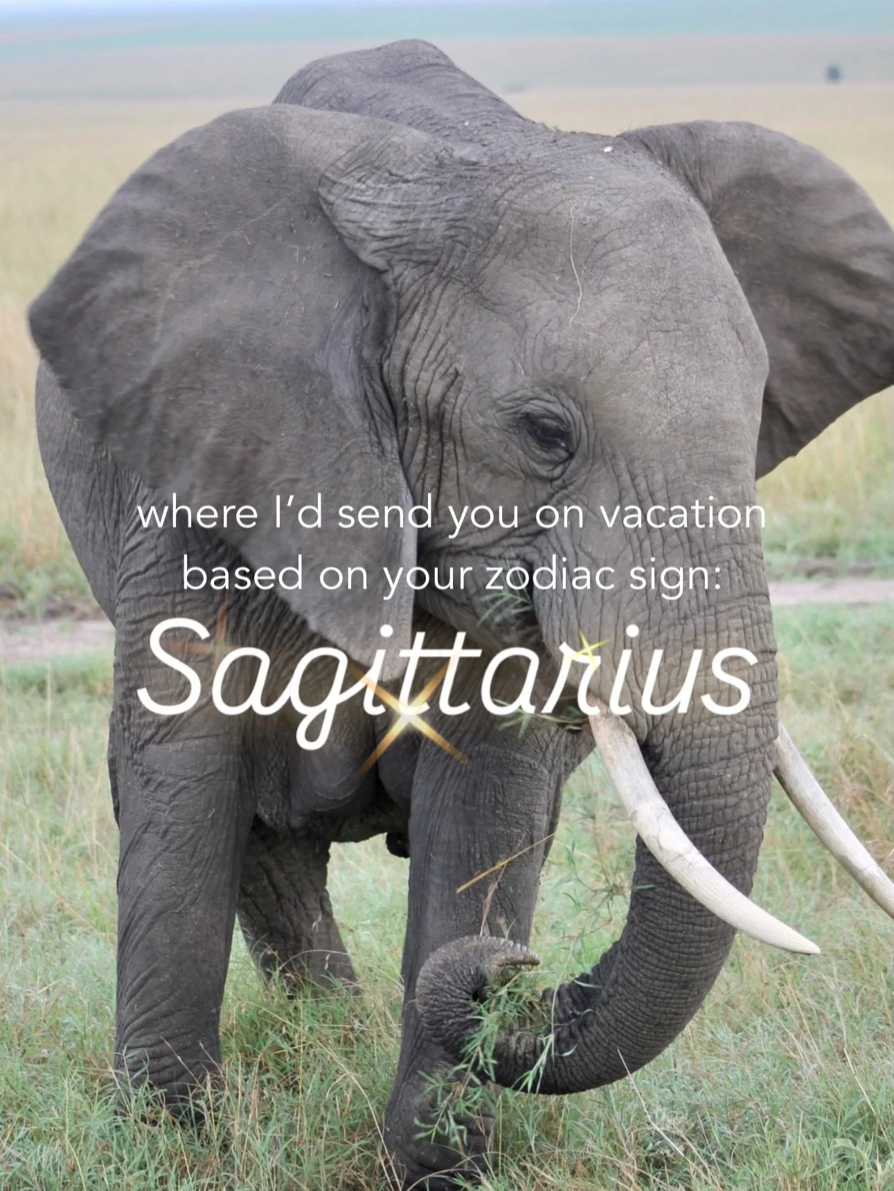 Send this to a Sagittarius! 💫♐️

#sagittarius #kenya #zodiactravel #girlswhotravel #travelinspo