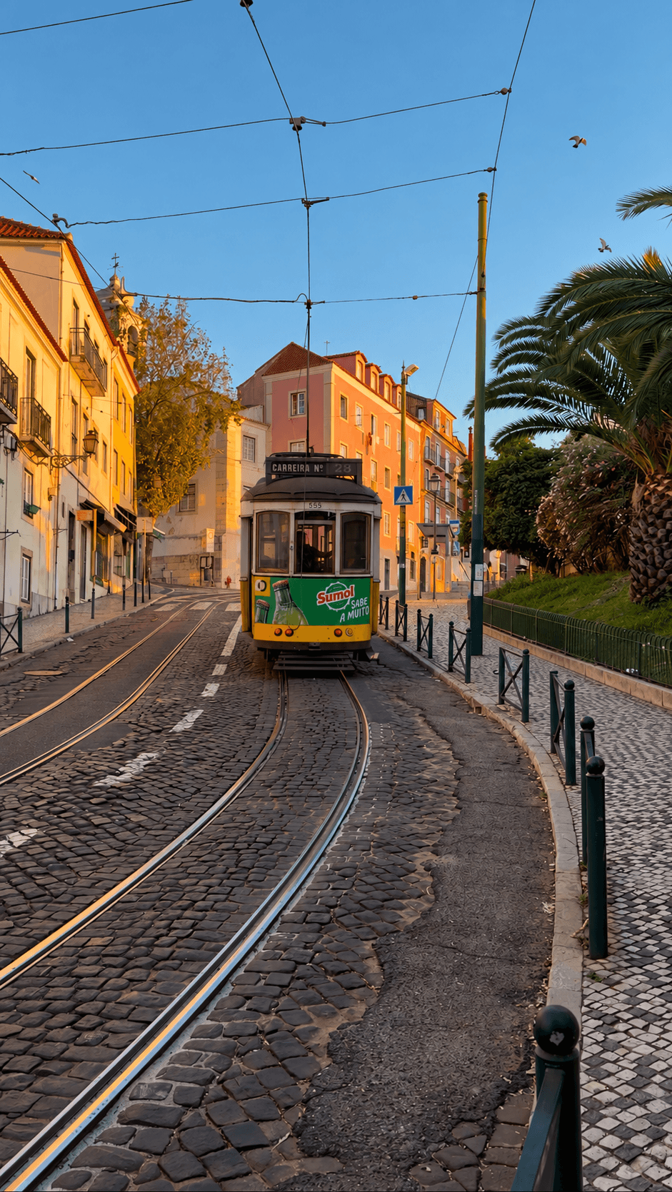 Carreira Tram Lisbon Portugal.png