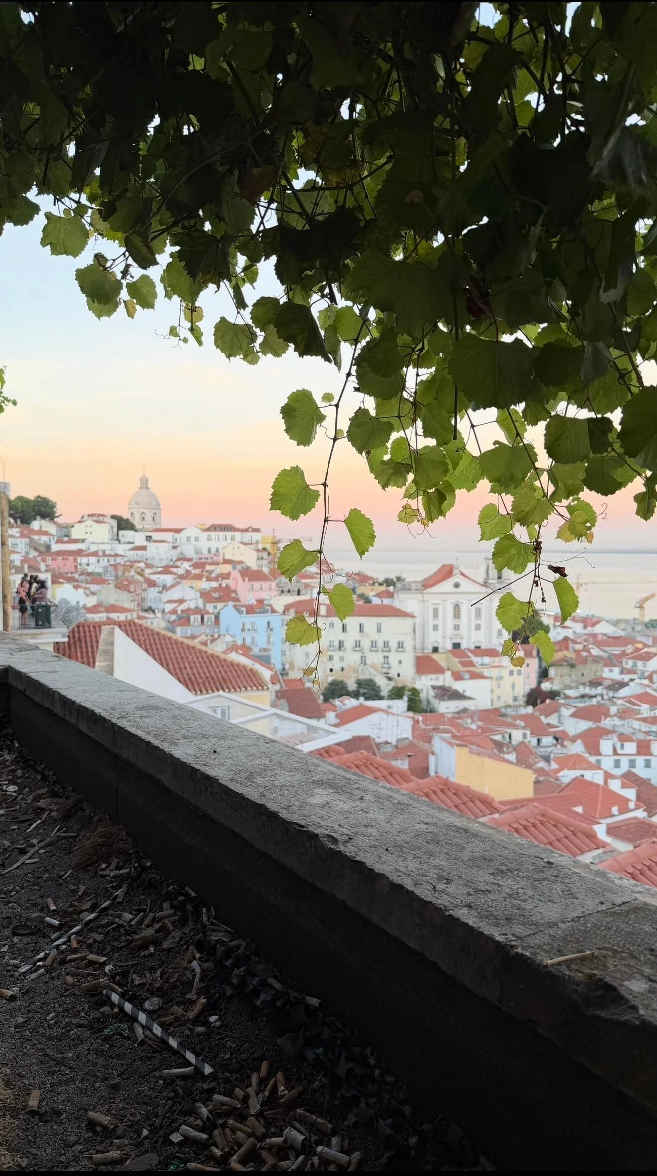 Sunset Santa Luzia Miradouro Lisbon Portugal.jpeg
