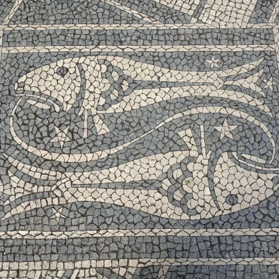 Pisces%252BPortuguese%252BCobblestones%252BJeronimos%252BMonestary%252BLisbon%252BPortugal.jpg