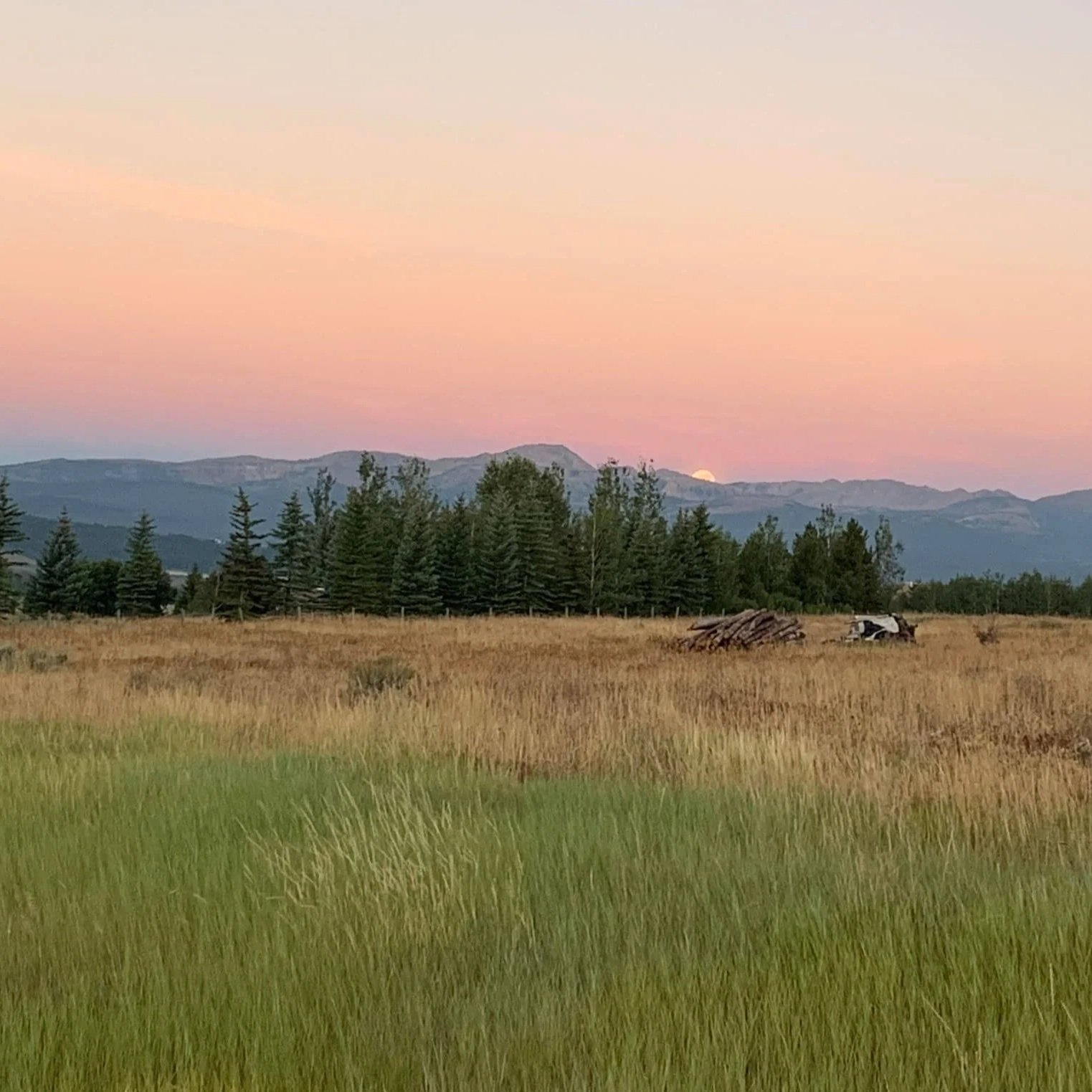 Sunrise, Yellowstone, West Yellowstone, Montana
