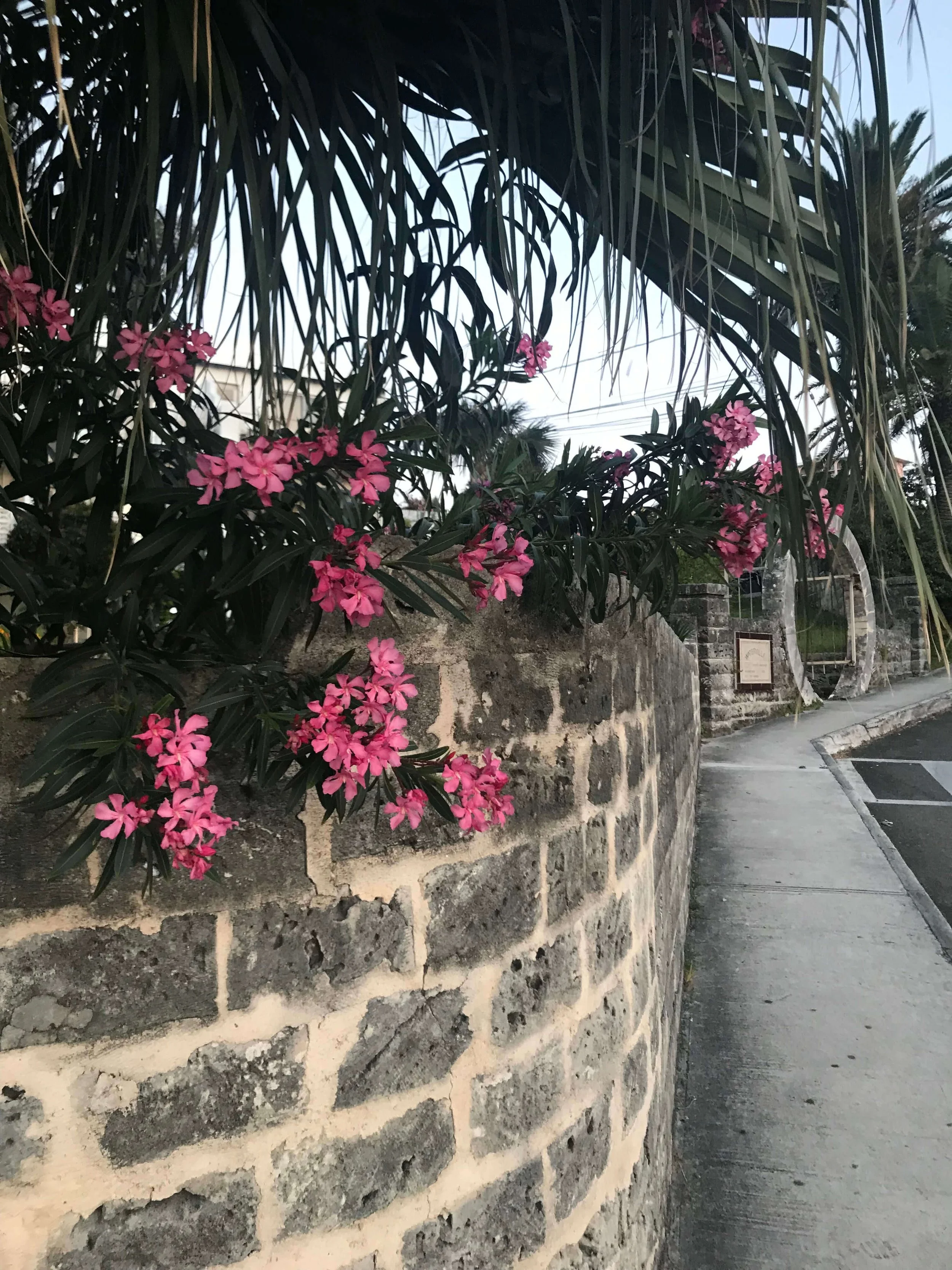 Bermuda 8 Compressed.jpg