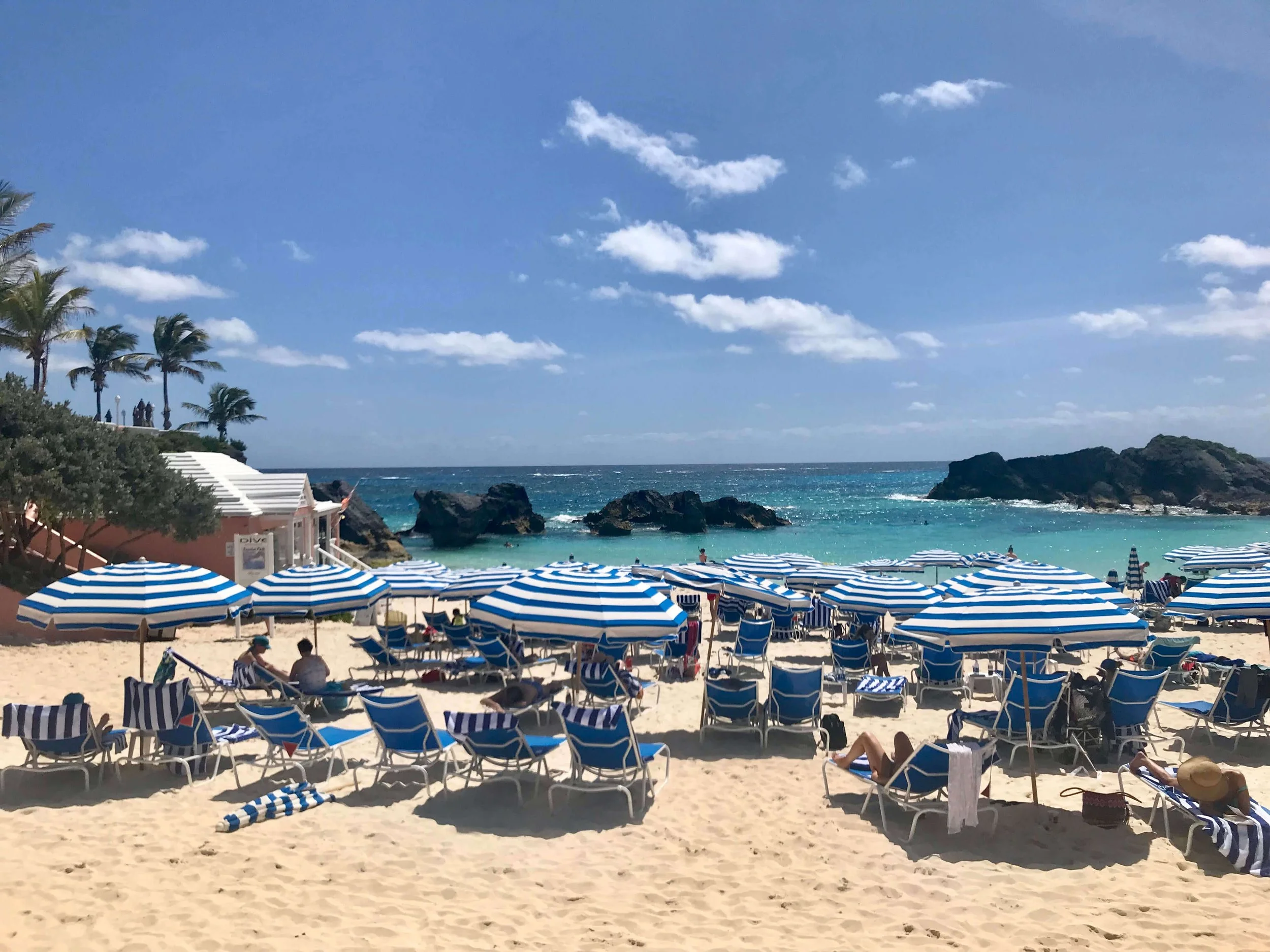 Bermuda 7 Compressed.jpg