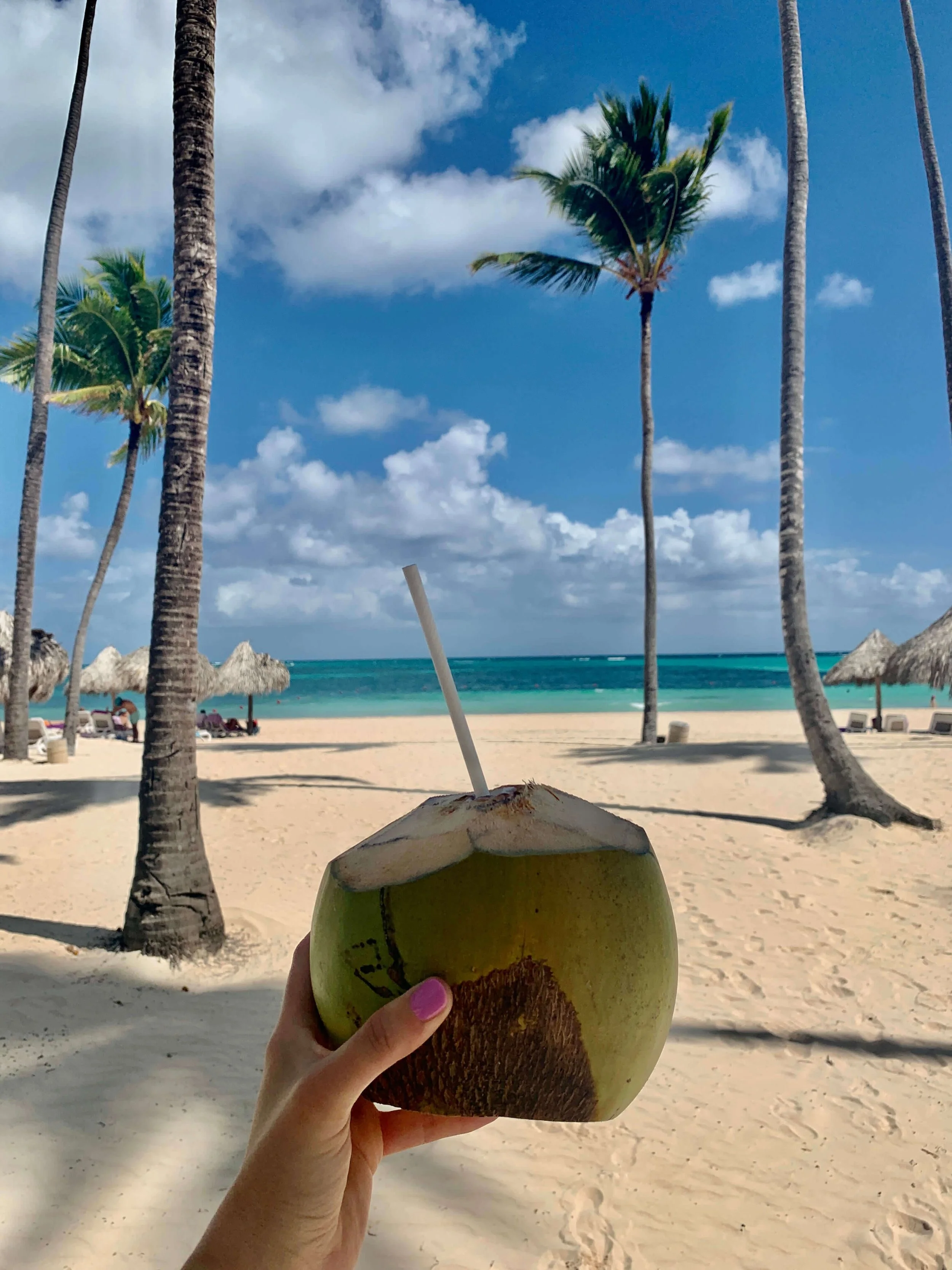 Tropical beach, coconut, Punta Cana, Dominican Republic