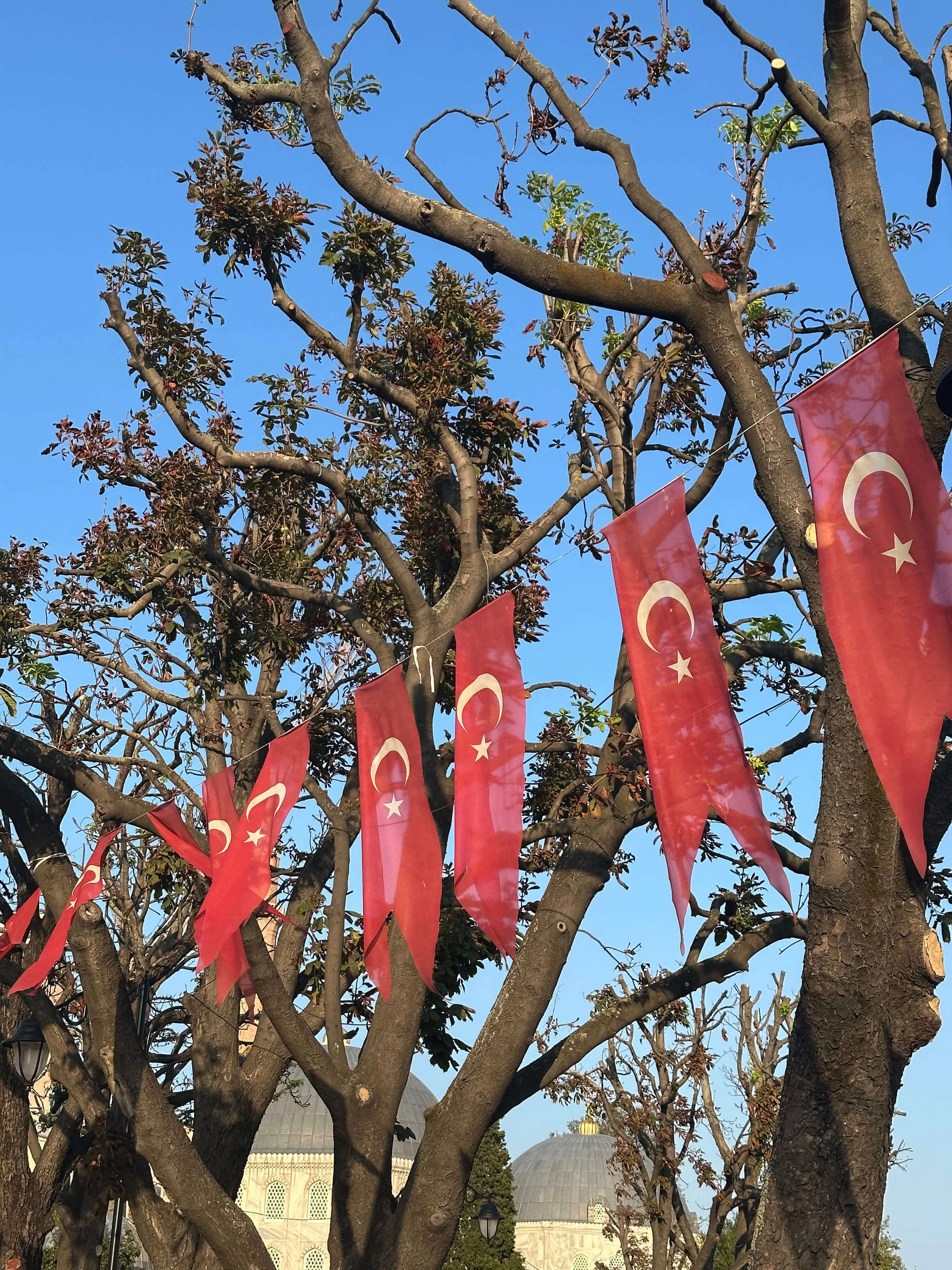 Turkish flag, Istanbul, Türkiye