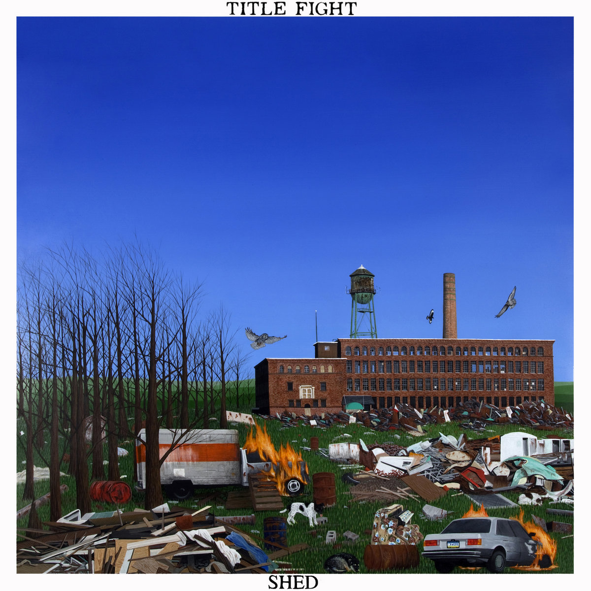 TITLE FIGHT - SHED.png