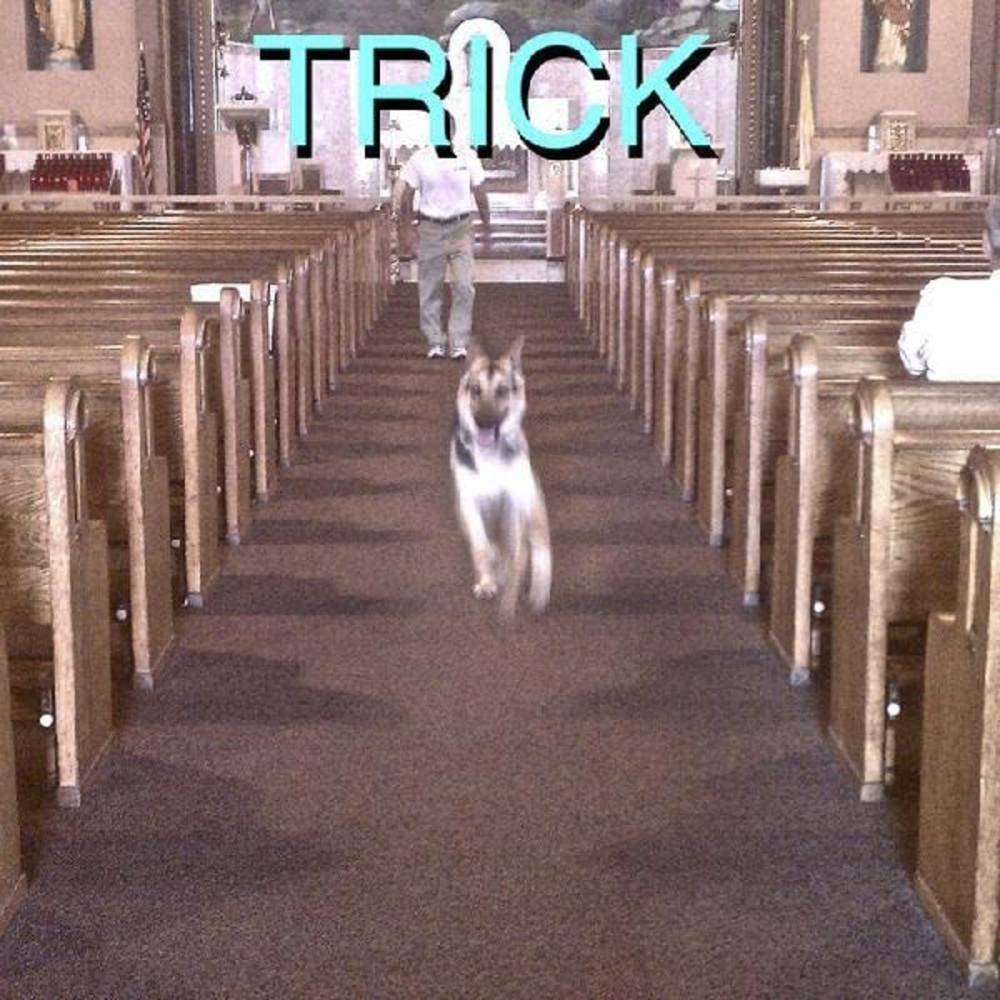 46482466.jpeg