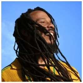 ziggy-marley---brightsidersdvinyl.jpg