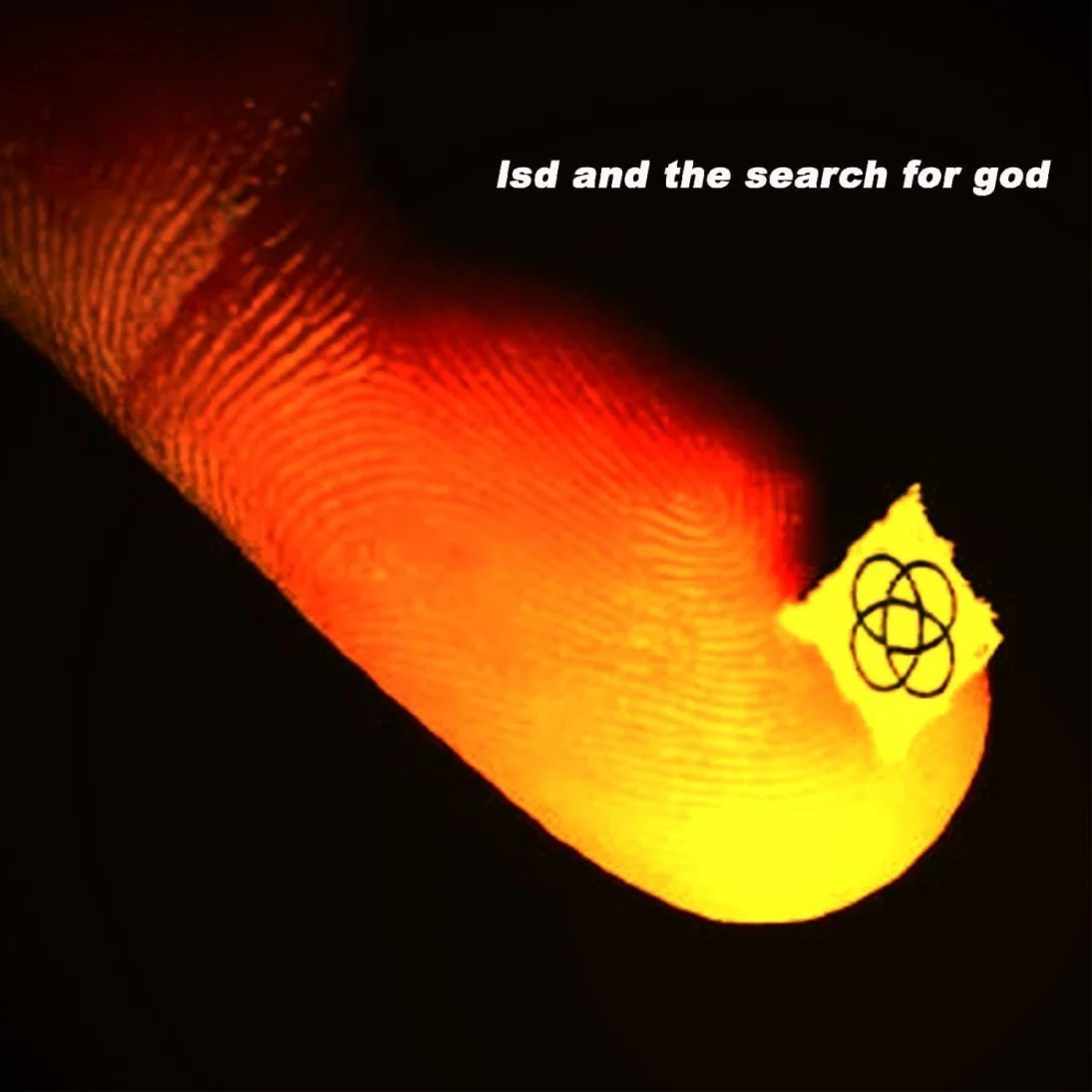 lsd_abf5d5a9.jpg