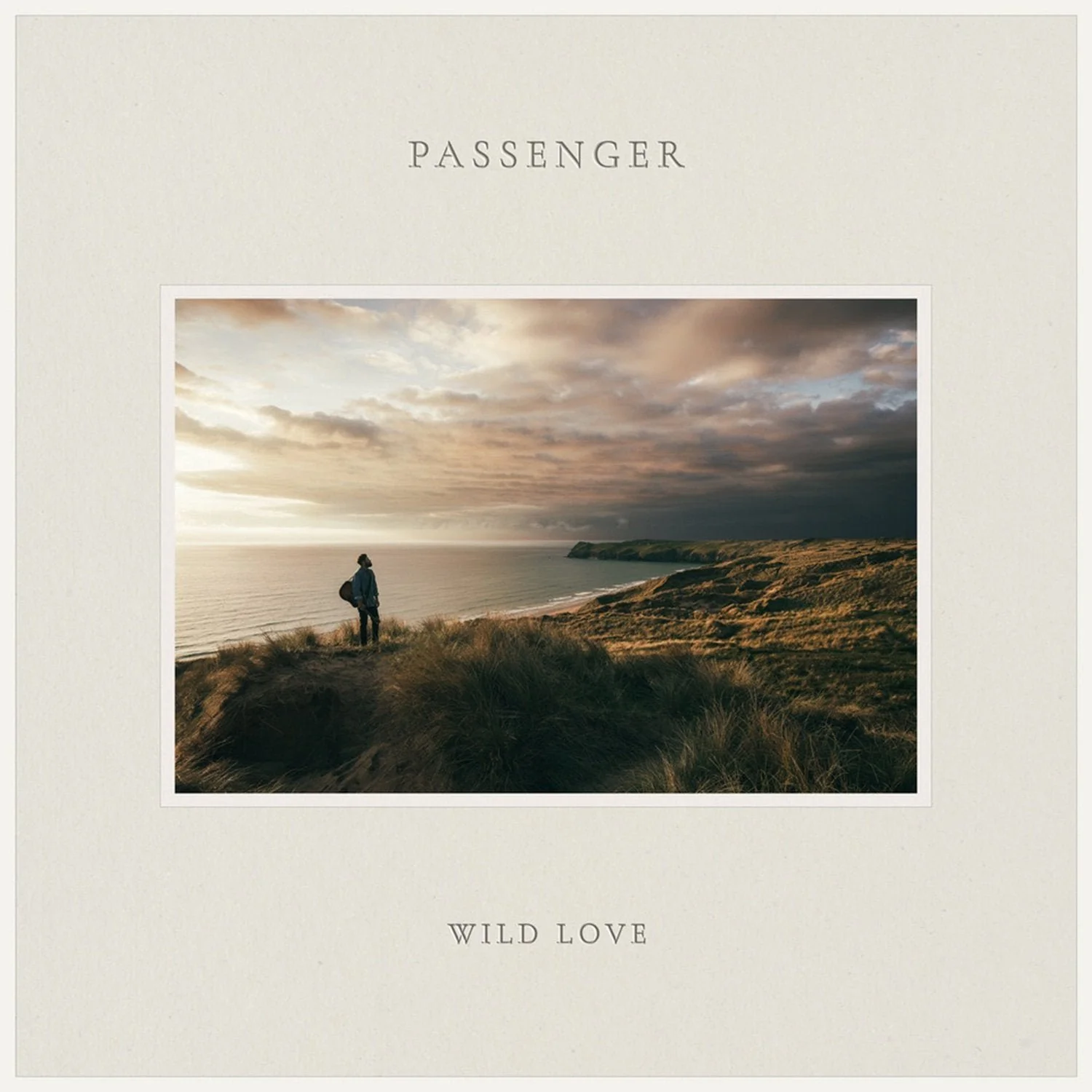 PASSENGER - WILD LOVE