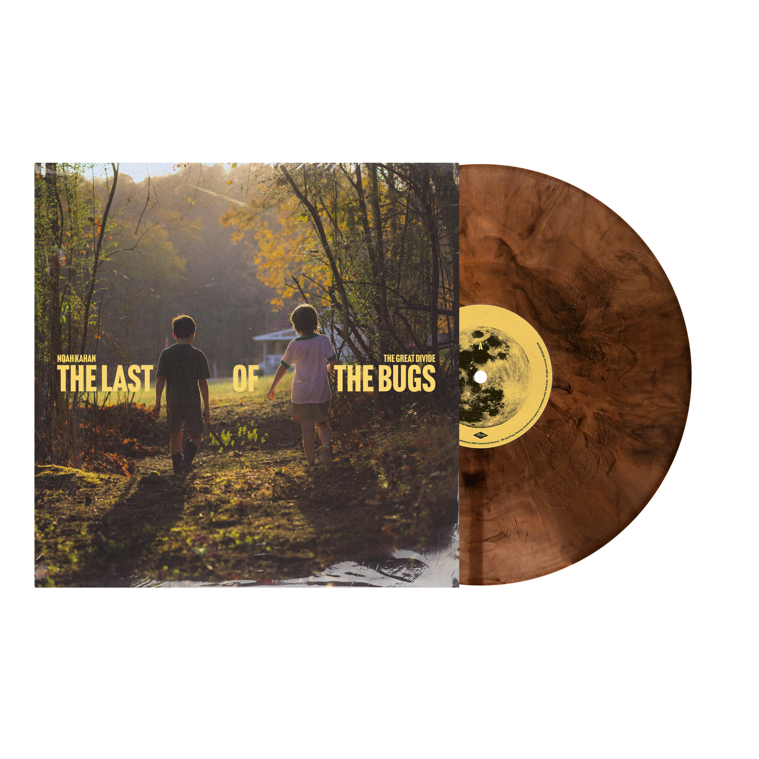 TLOTB-VINYL-MOCK-1.png