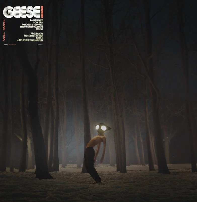 geese-debut.jpg