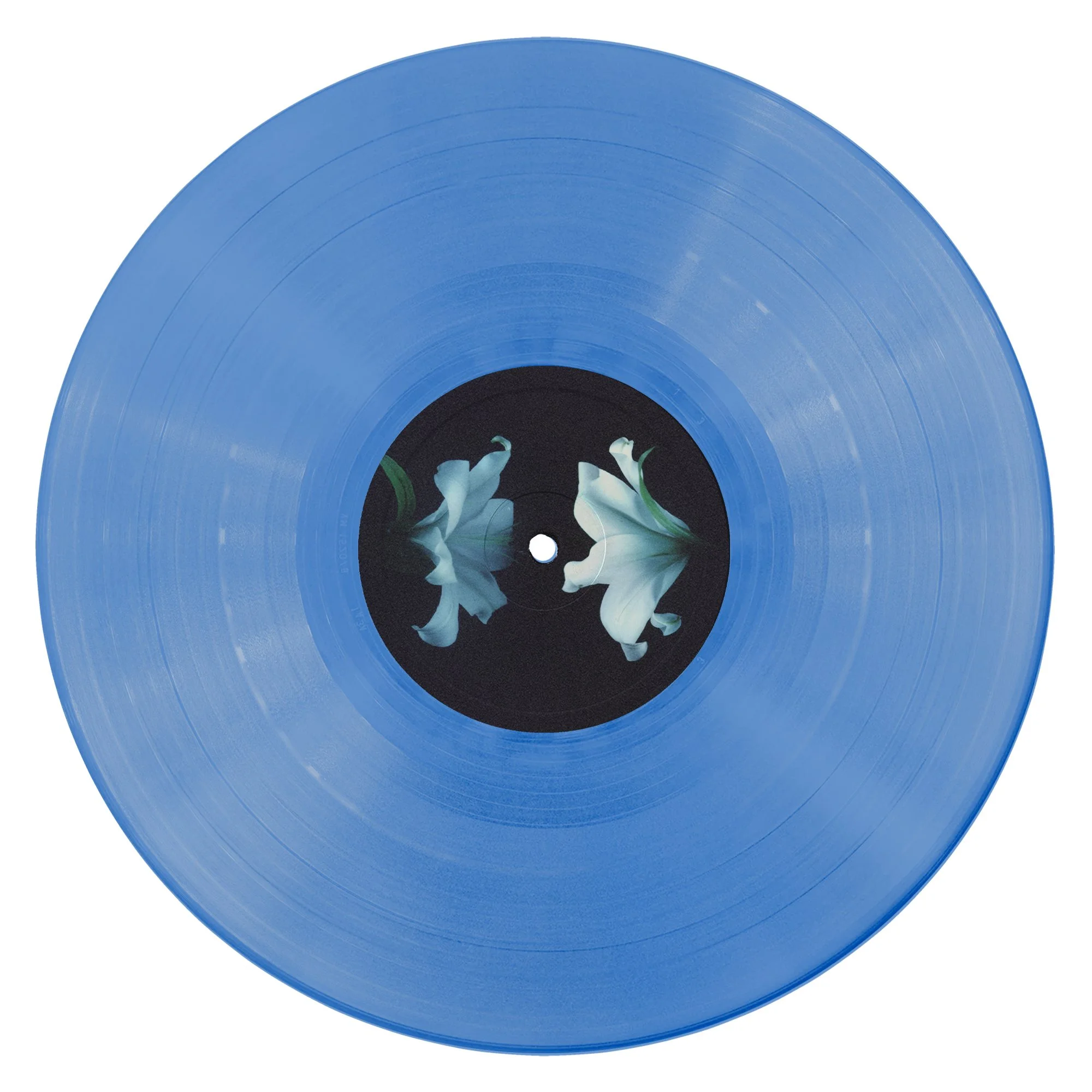 Wasia Project blue.jpg