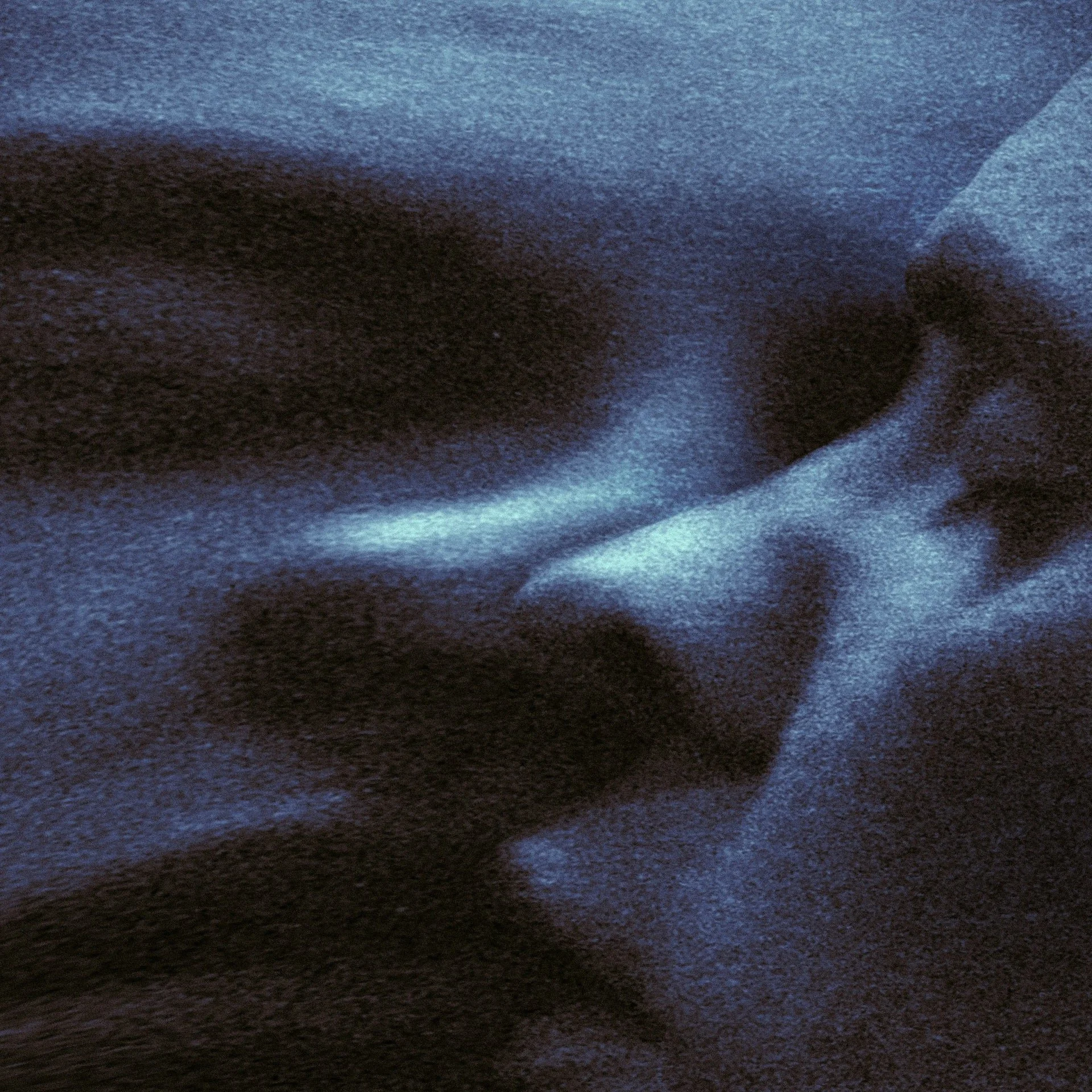 Puma Blue Croak Dream.jpeg