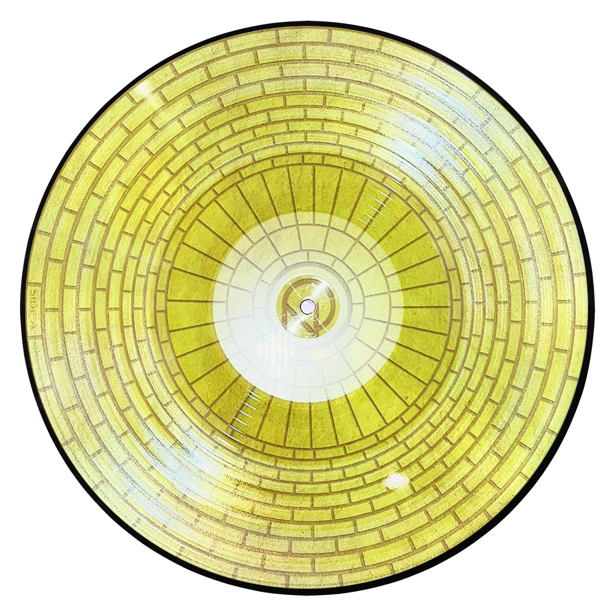Wicked For Good Pic Disc.jpg