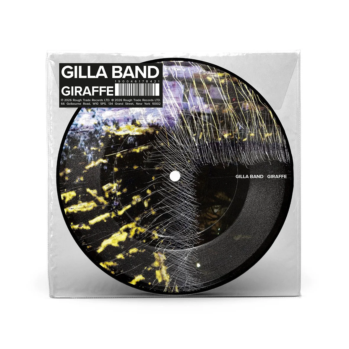 Gilla Band Giraffe 7.jpg