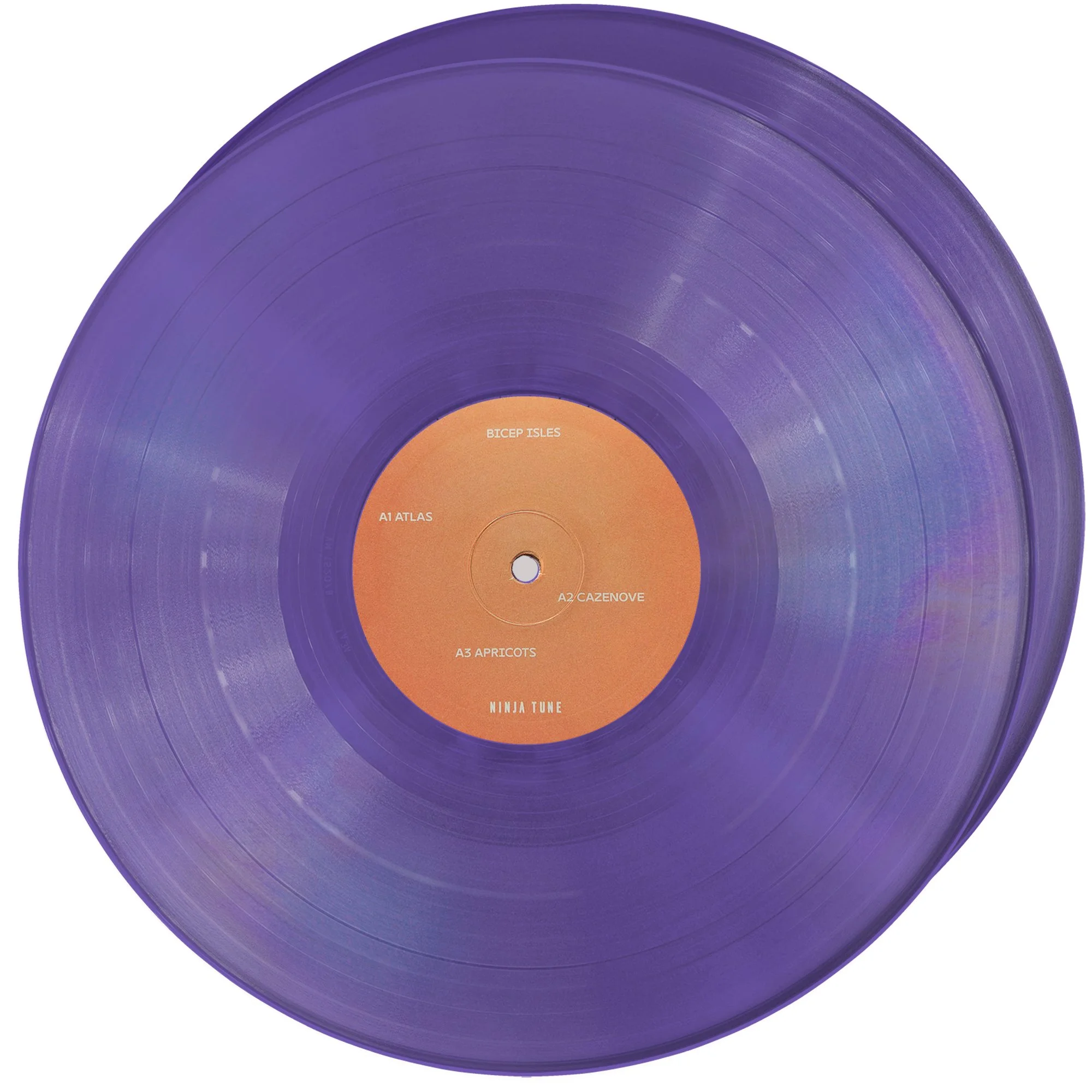 Bicep Purple 2LP.jpg
