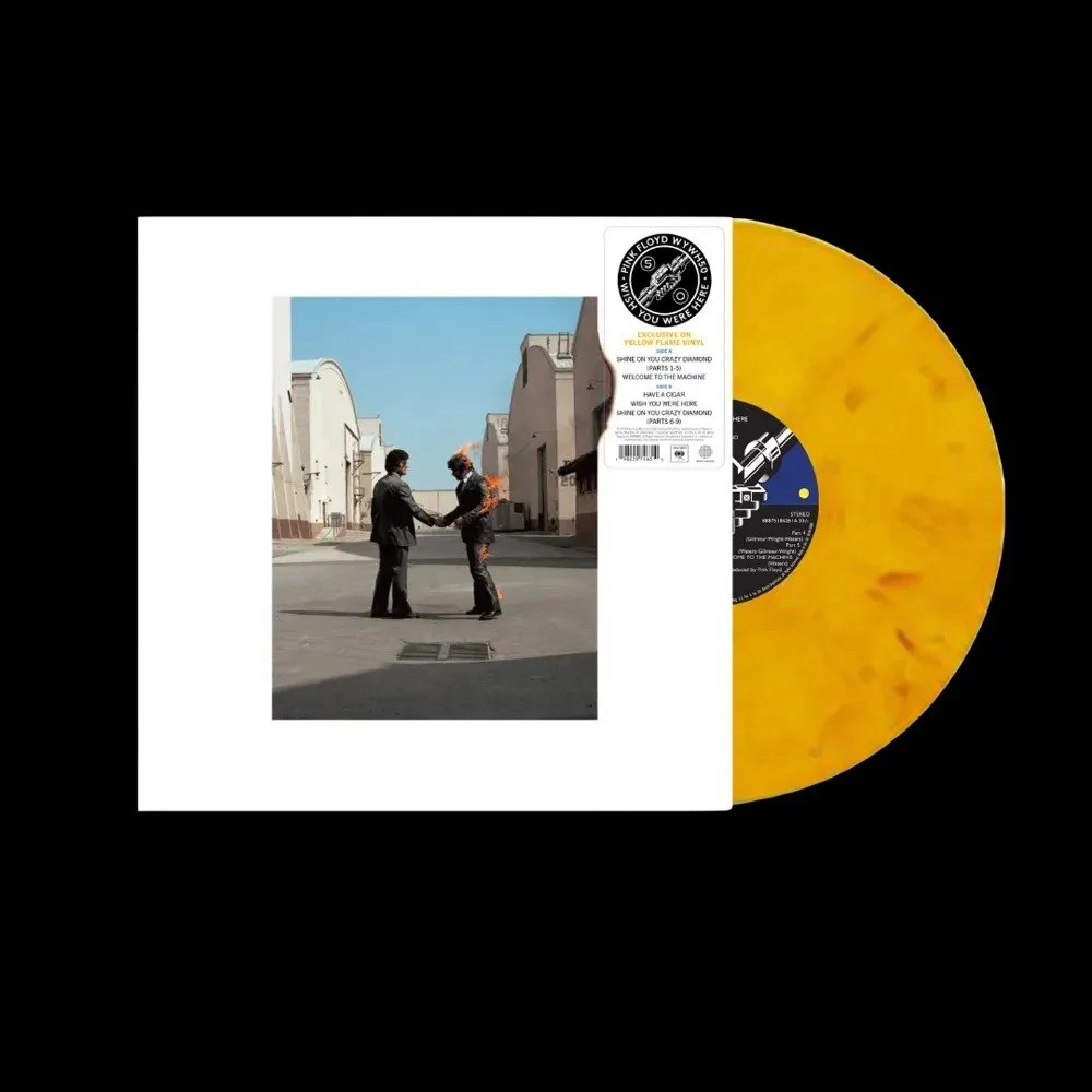 PINK FLOYD2.jpg