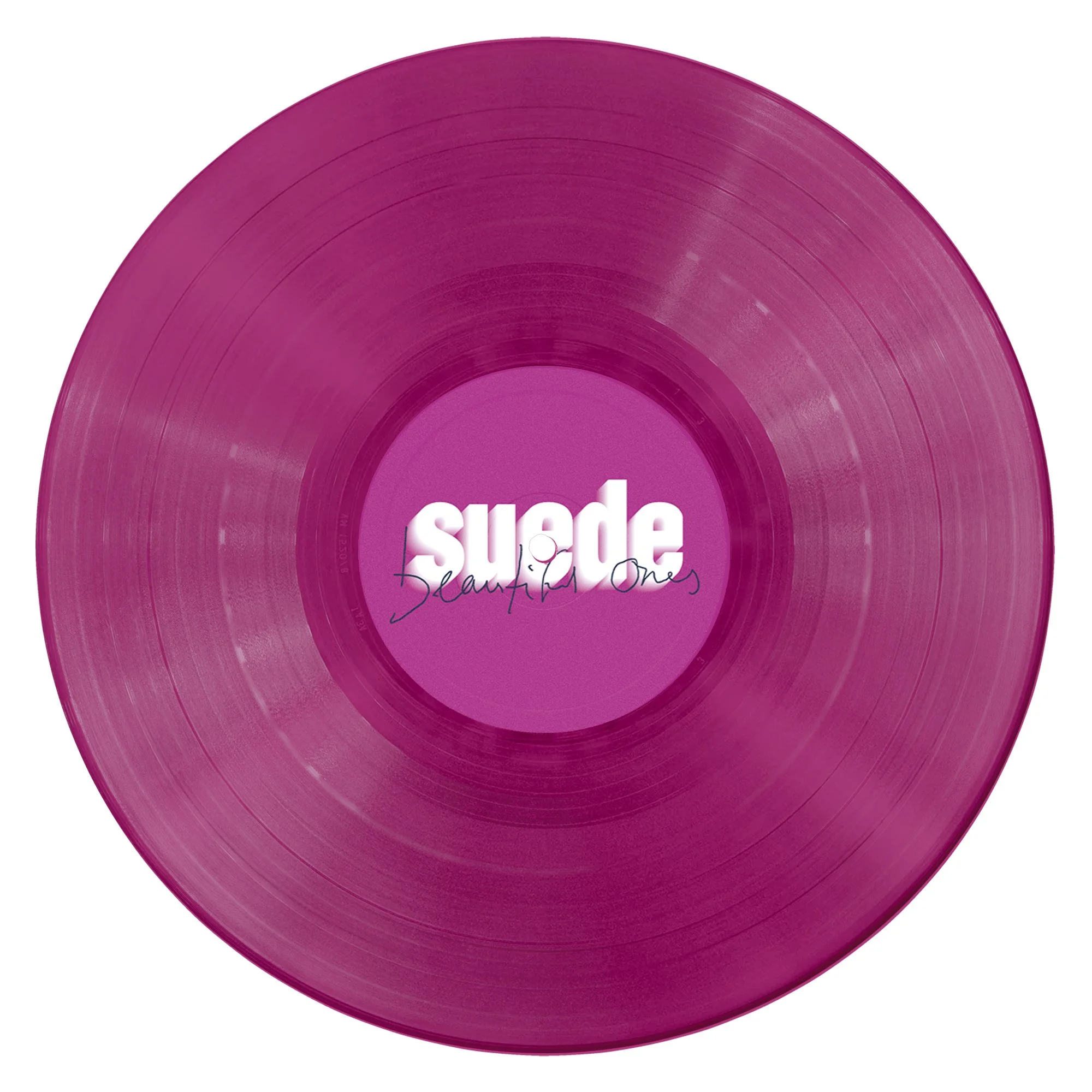 Suede Beautiful Ones.jpg