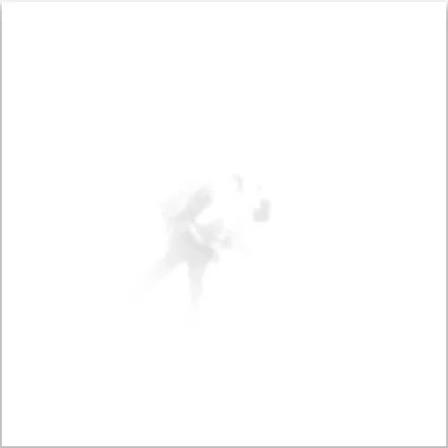 SLINT - UNTITLED (ALBINI ROUGH MIXES)