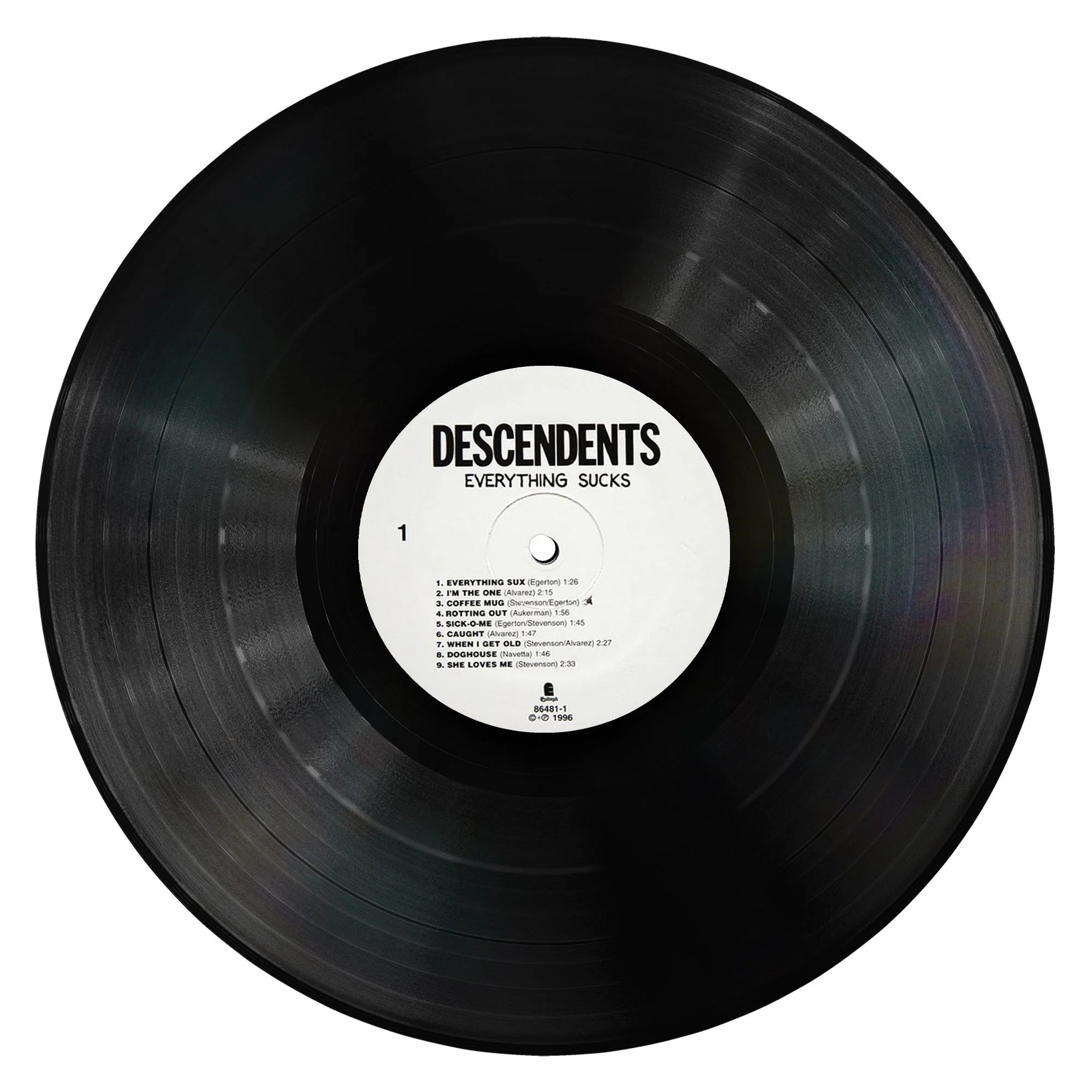 Descendents Everything Sucks 1LP.jpg