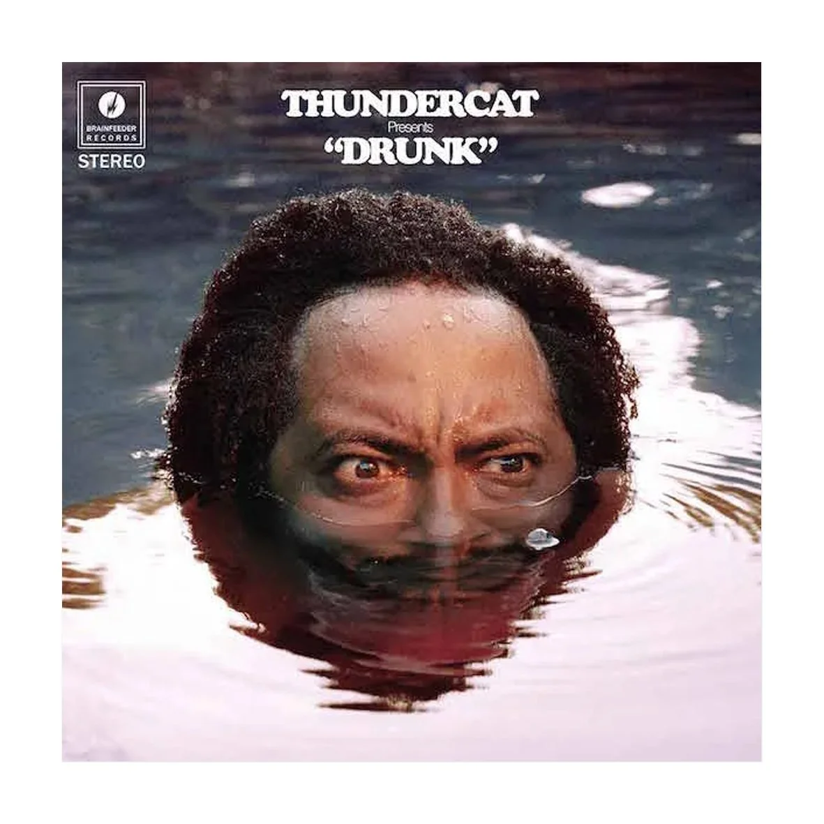 Thundercat.jpg