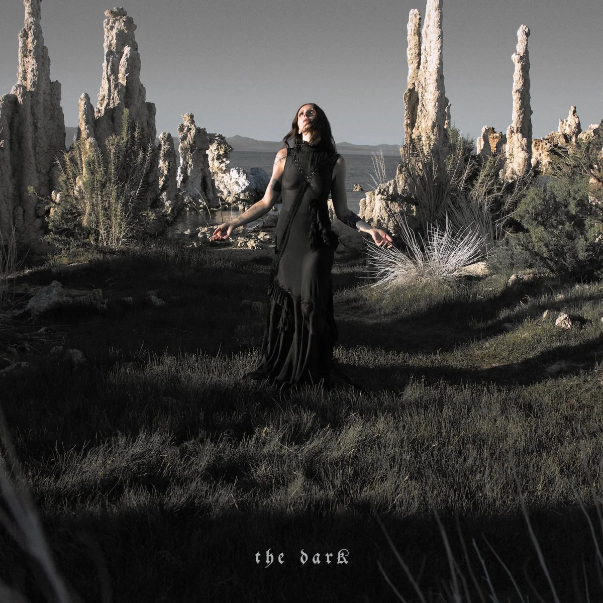 chelsea wolfe the dark.jpg