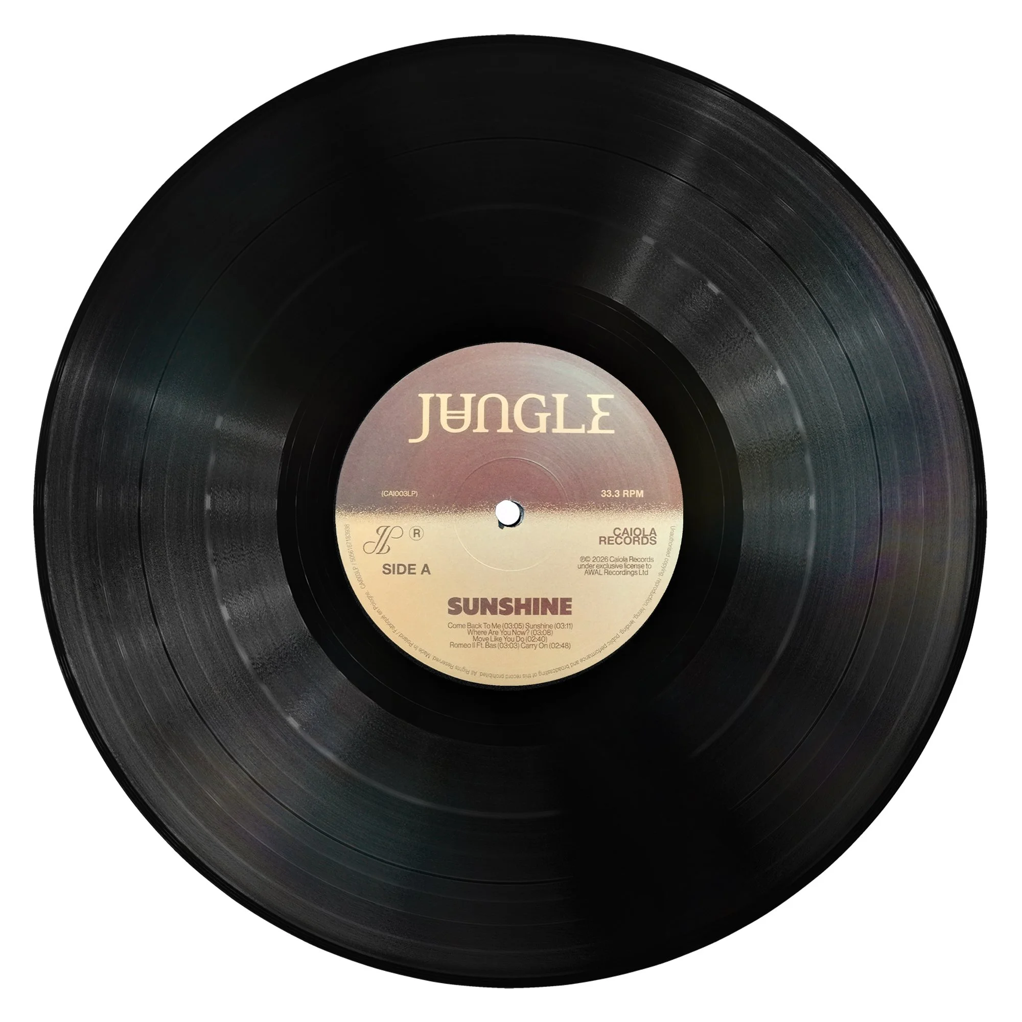 Jungle Sunshine 1LP.jpg