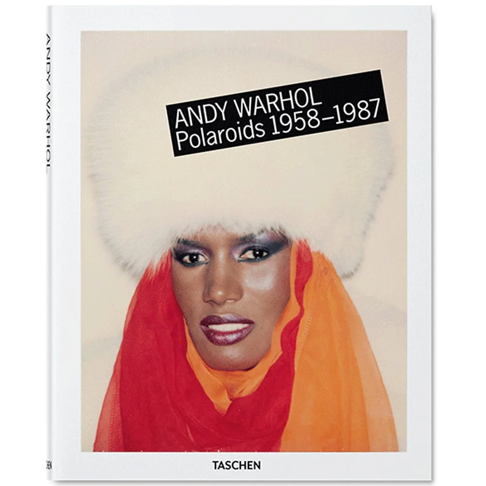 ANDY POLAROIDS COVER.jpg