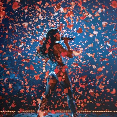 Dua Lipa Live.jpg