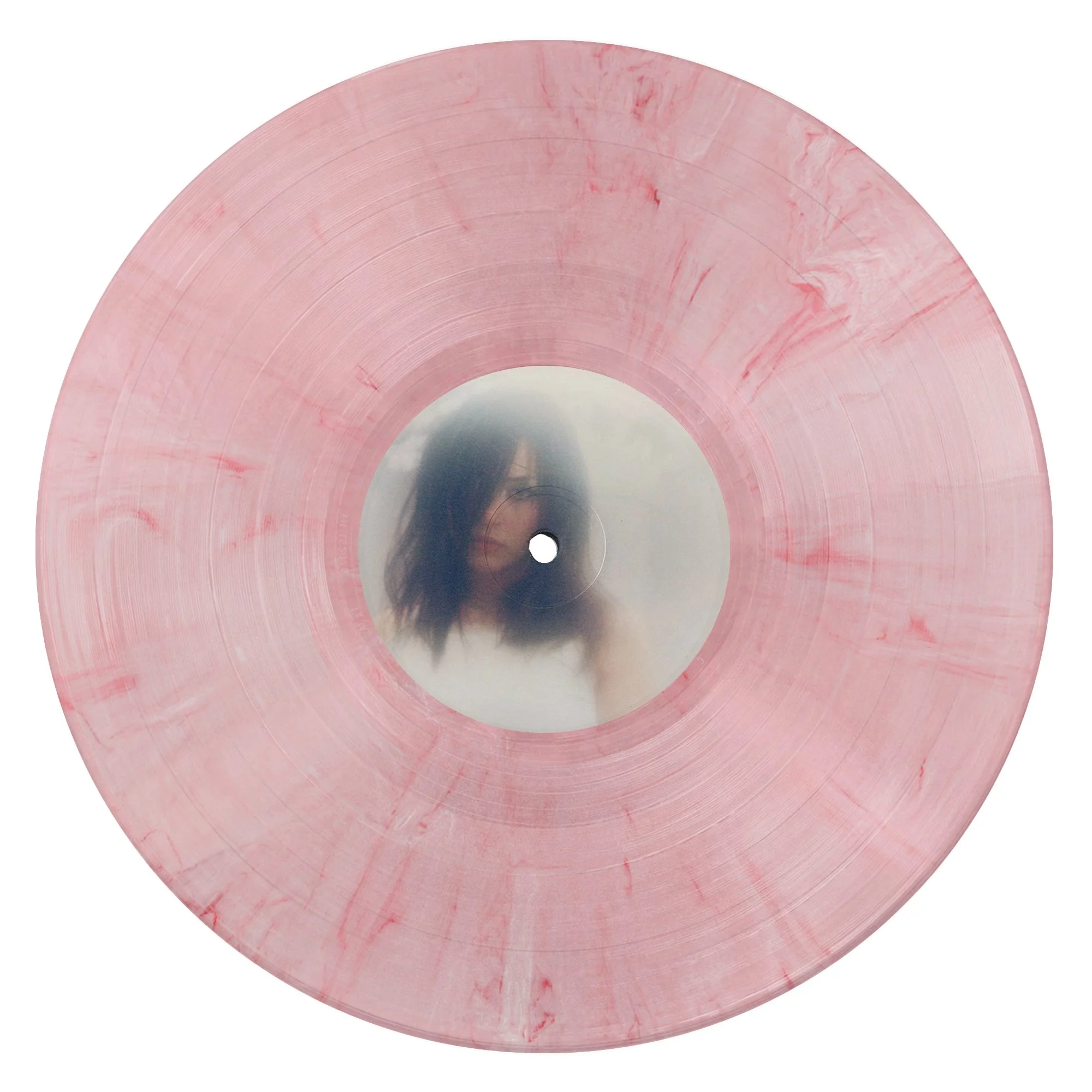 Lonnie Gunn Horsemeat Flesh Slice.jpg