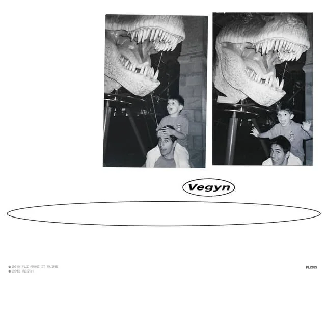 VEGYN SLEEVE.jpg