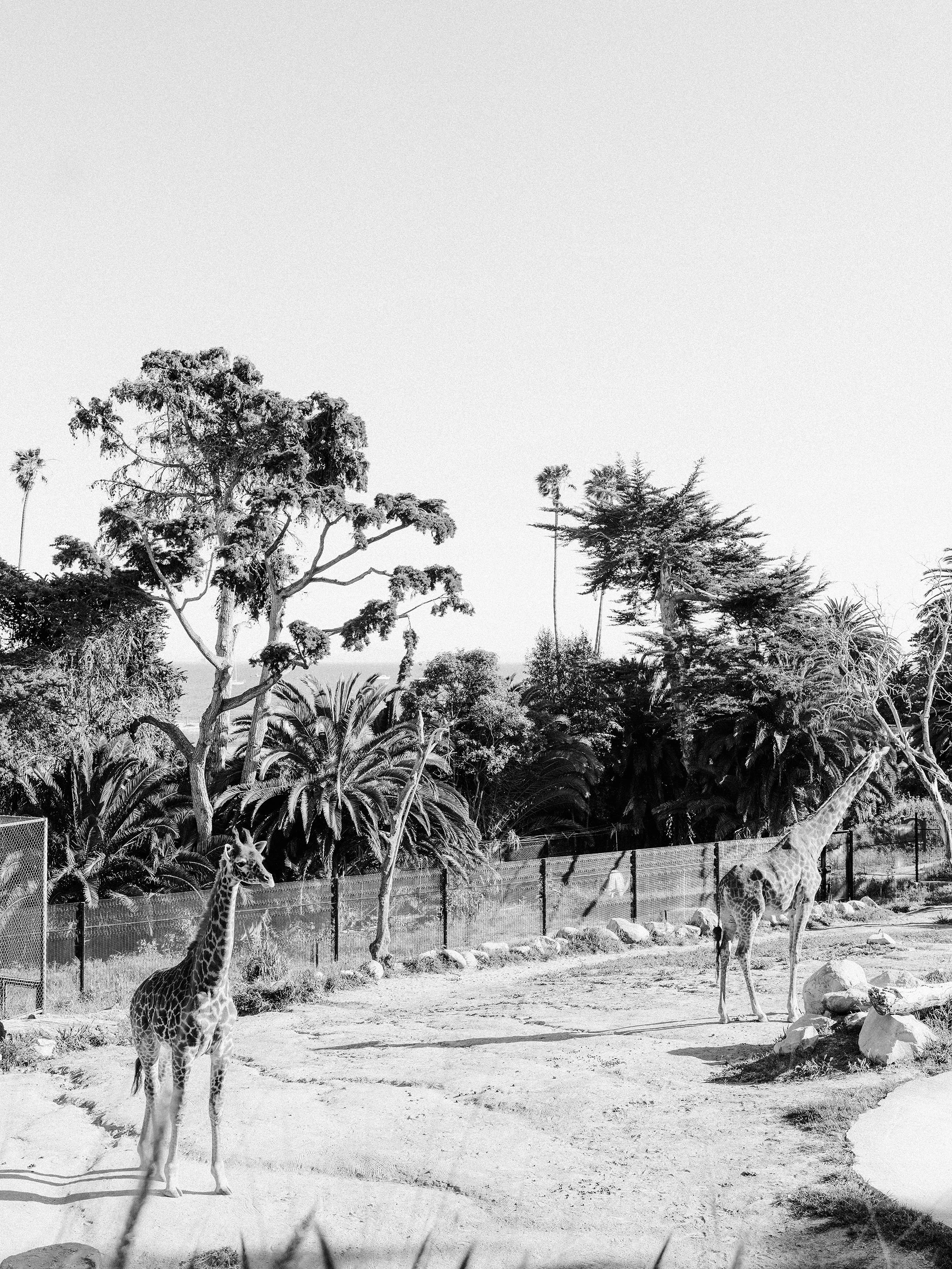 05_JCV00007.jpg